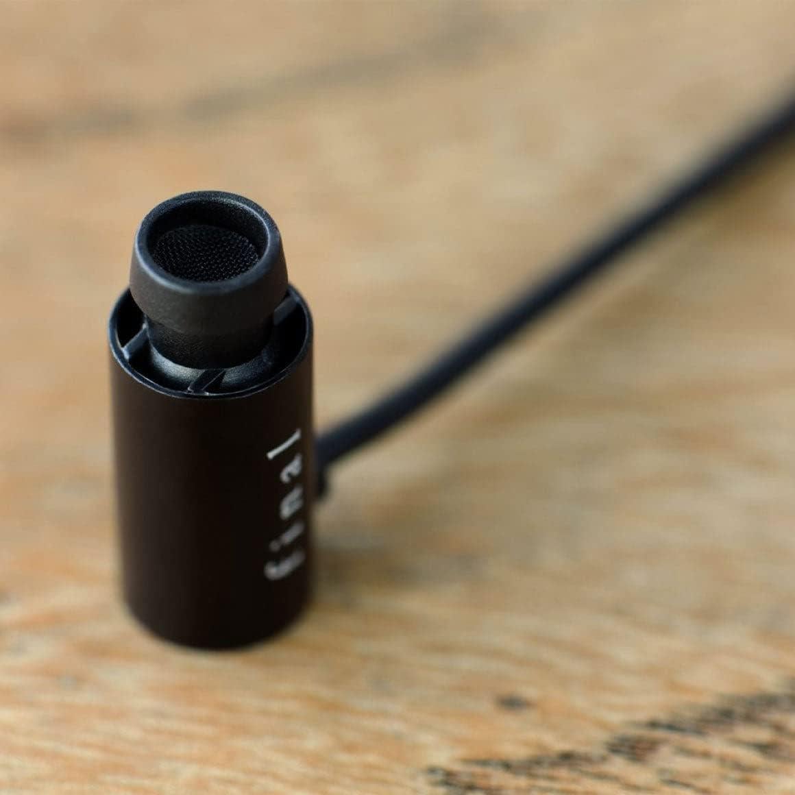 Auriculares In Ear Final E2000 Aluminio Negro 6.4mm