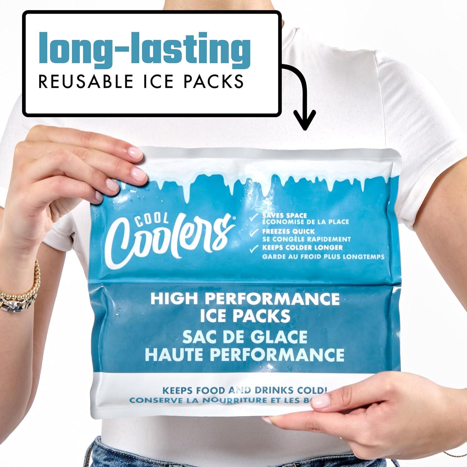 Paquete de Hielo Reutilizable Fit & Fresh 2PK 25.4x21.6cm