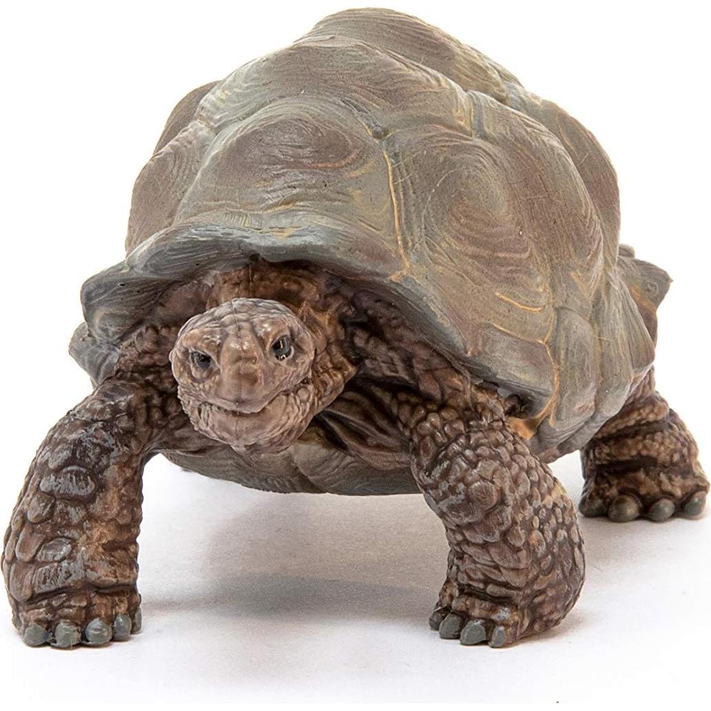 Figura Tortuga Gigante Schleich Wild Life 4,29x7,79 cm