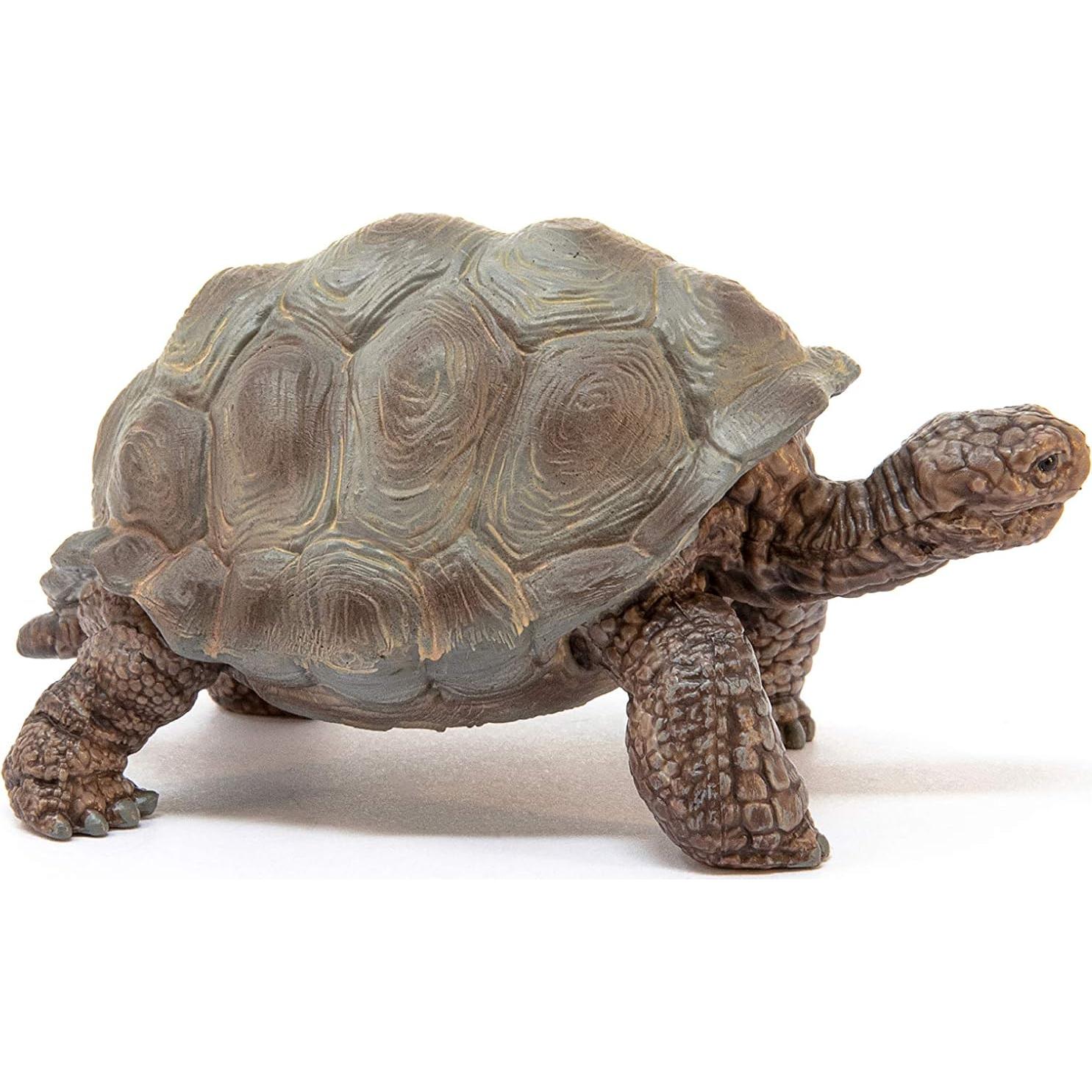 Figura Tortuga Gigante Schleich Wild Life 4,29x7,79 cm