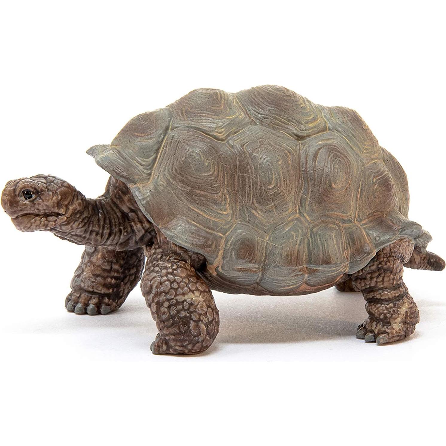 Figura Tortuga Gigante Schleich Wild Life 4,29x7,79 cm