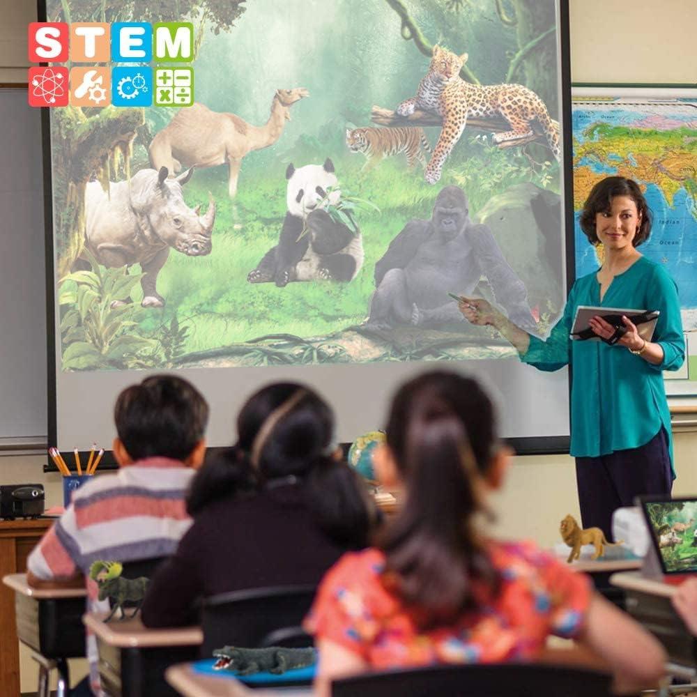 Figuras de Animales de Safari Mini Tudou 12 PCS Jumbo Realistas