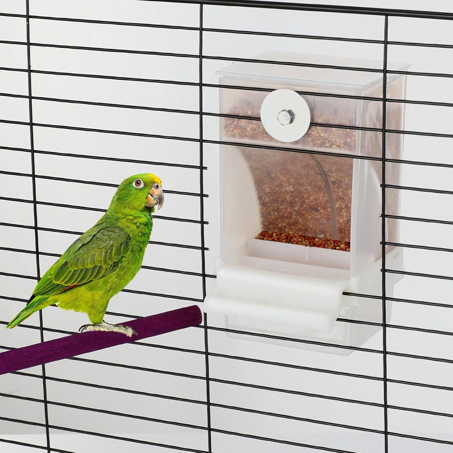 Comederos y Dispensadores de Agua Automáticos Yaomiao para Aves