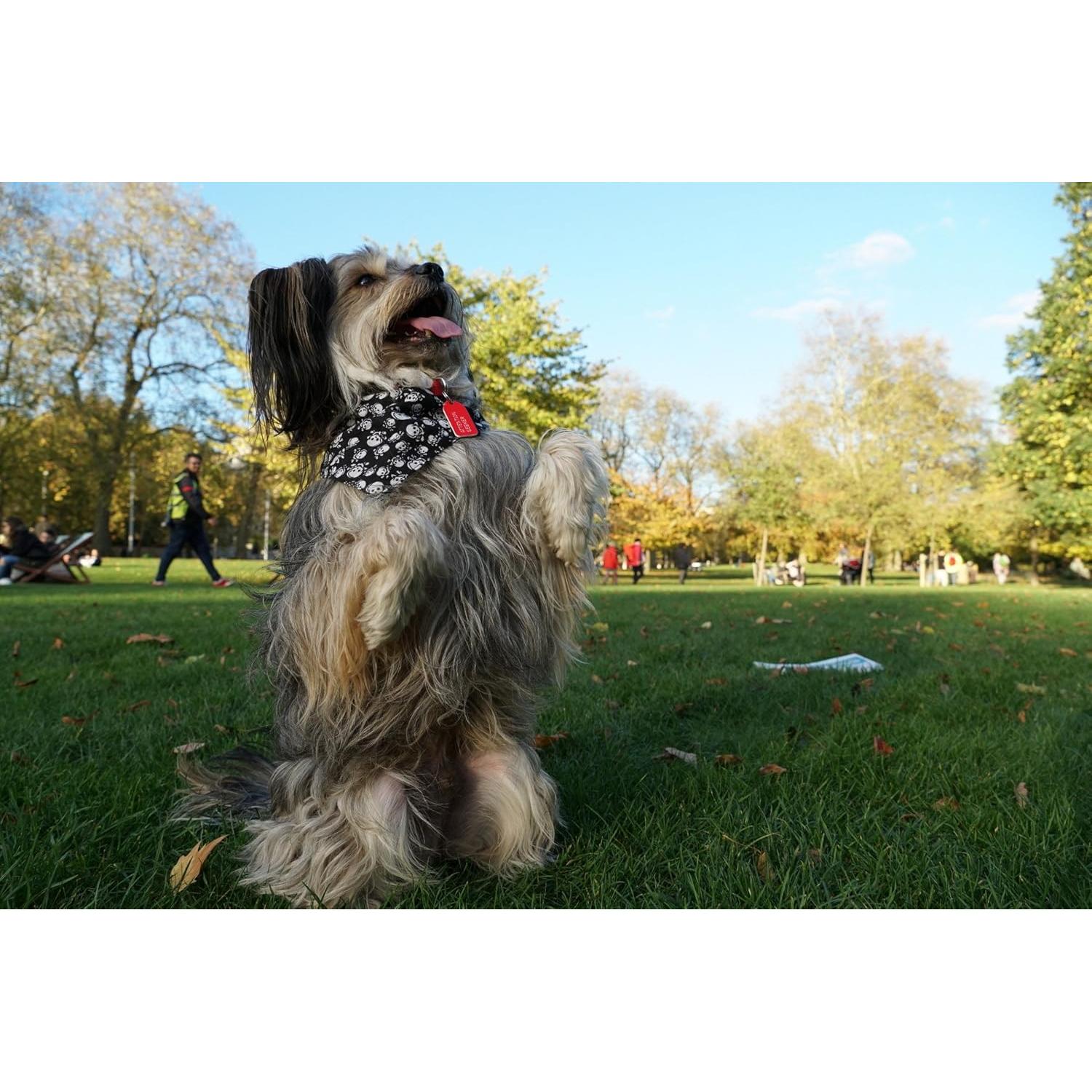 Lente Zoom Sony SEL18135 18-135mm F3.5-5.6 E-Mount