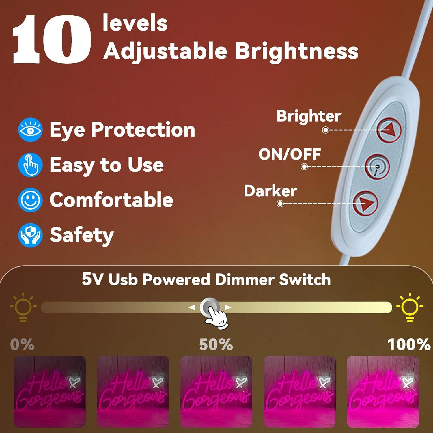 Señal de Neón LED Rosa Dimmable AYwYyjCh 40x26cm Decoración