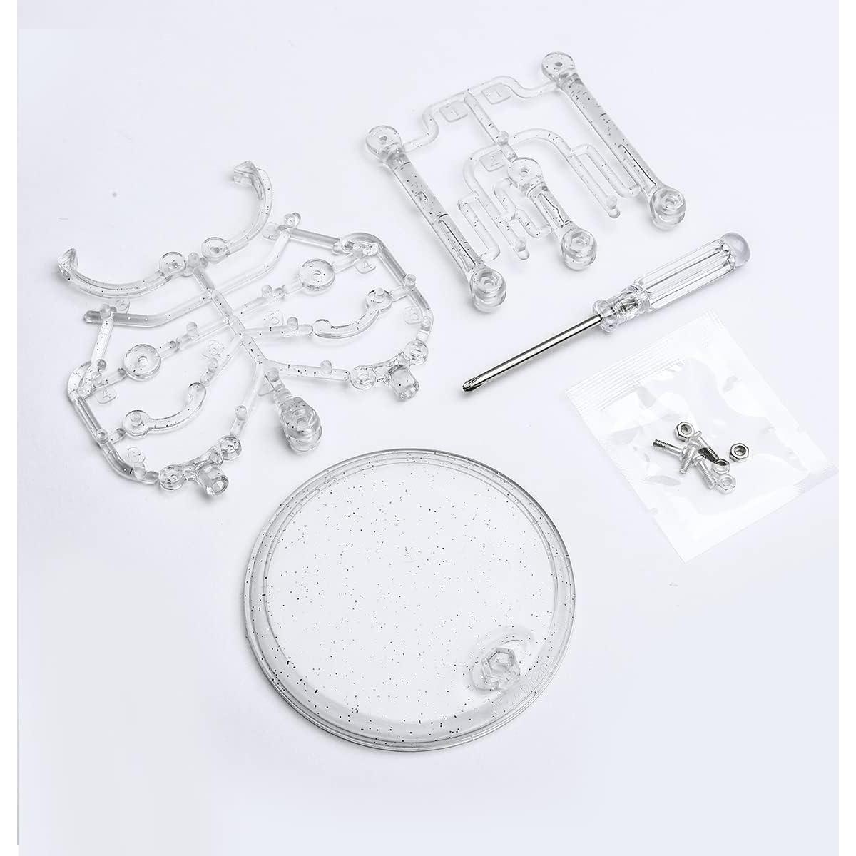 Soporte para muñecas DDUNG FDE09990 - Paquete de 3