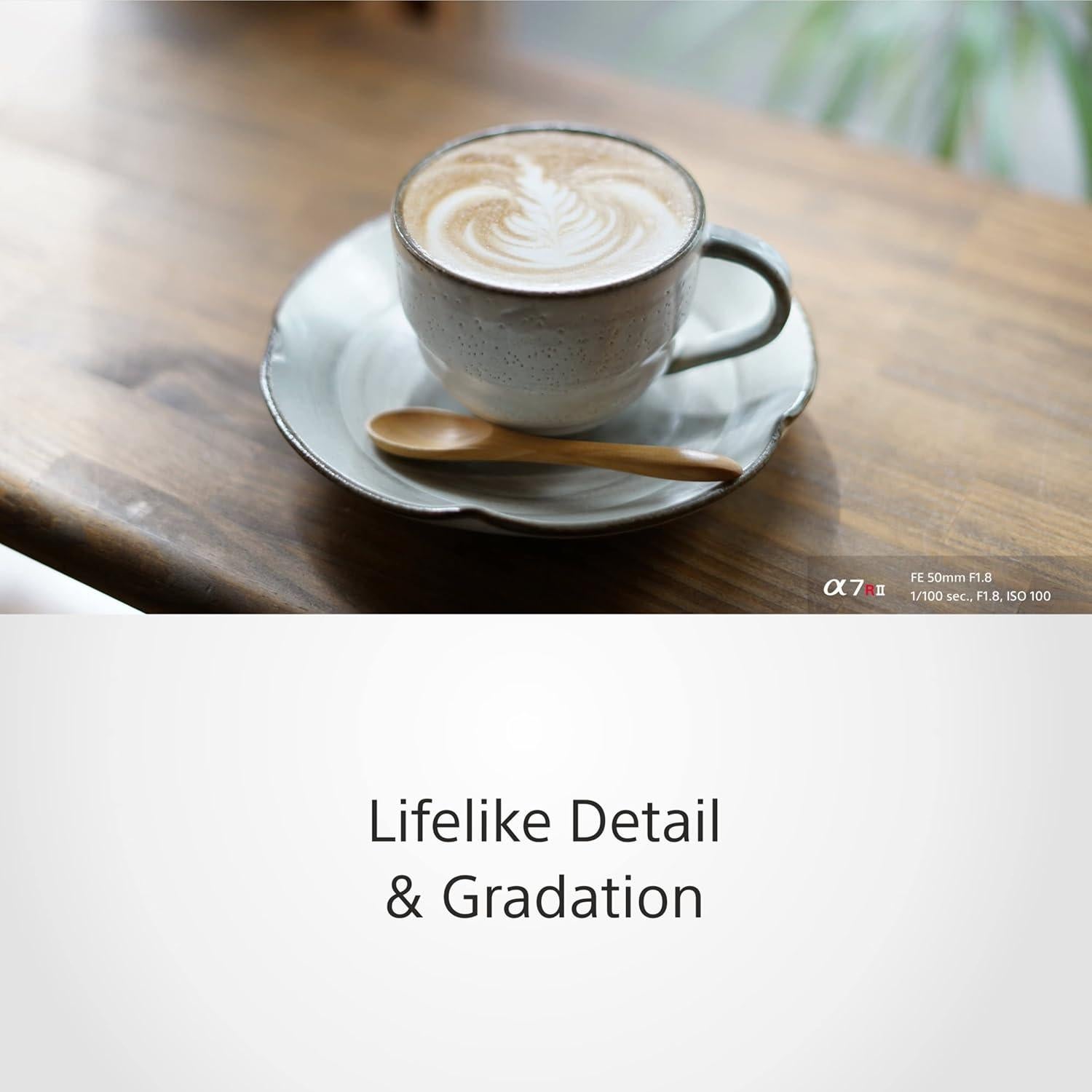 Lente Estándar Sony FE 50mm F1.8 para Montura E, Negro