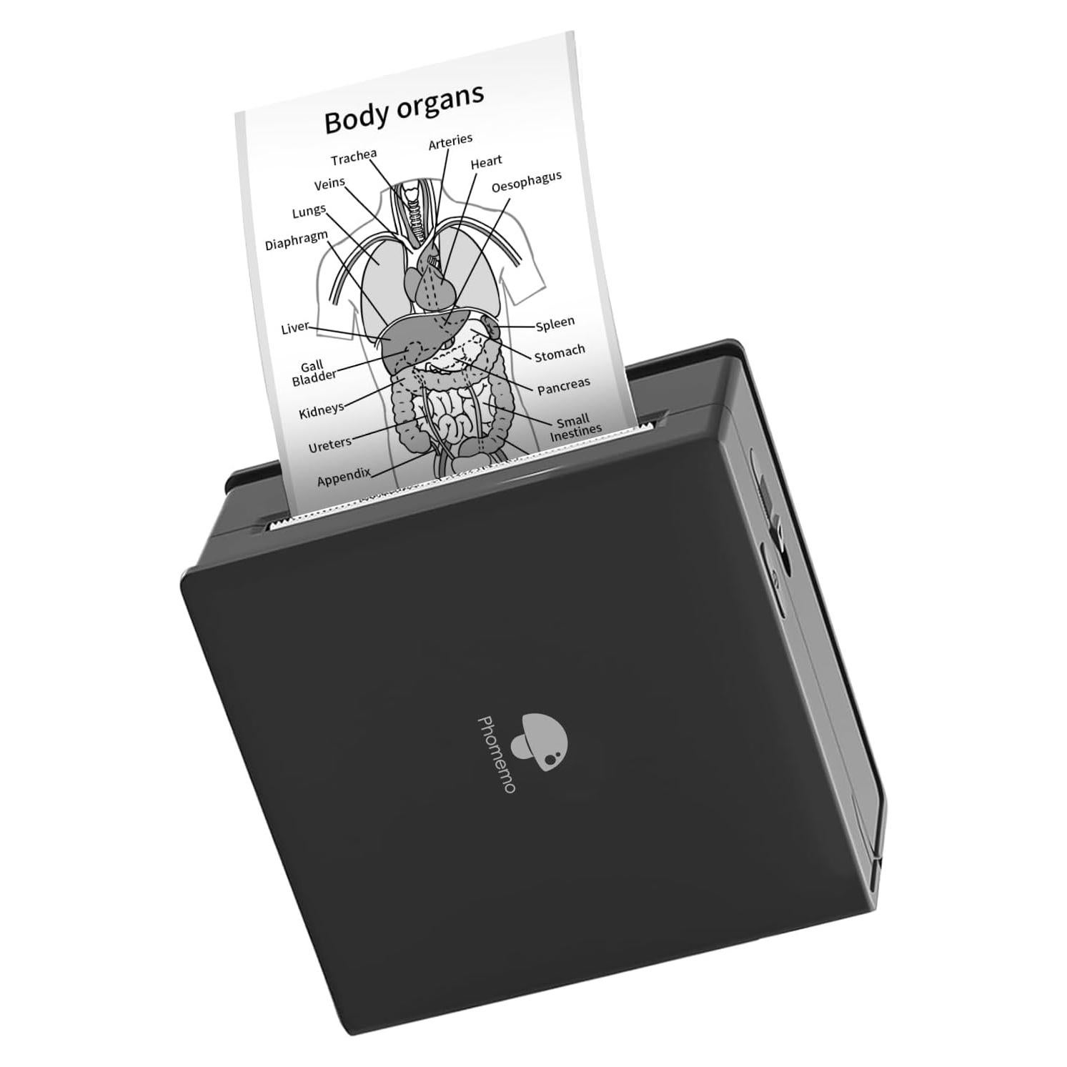 Impresora de Etiquetas Térmica Portátil Phomemo M02 - Bluetooth, 53mm