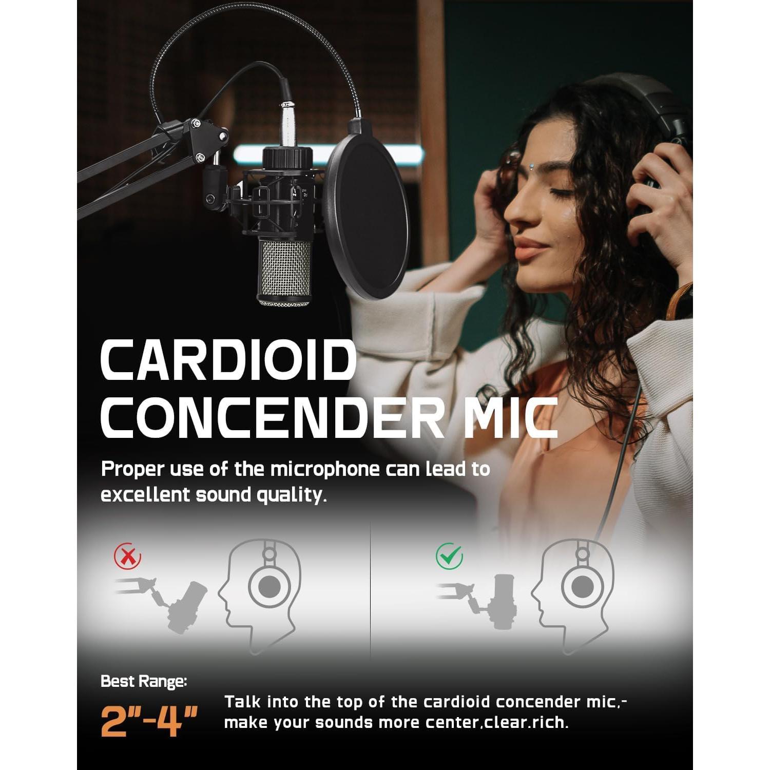 Micrófono de Condensador ALABS AC22 Cardioide Profesional