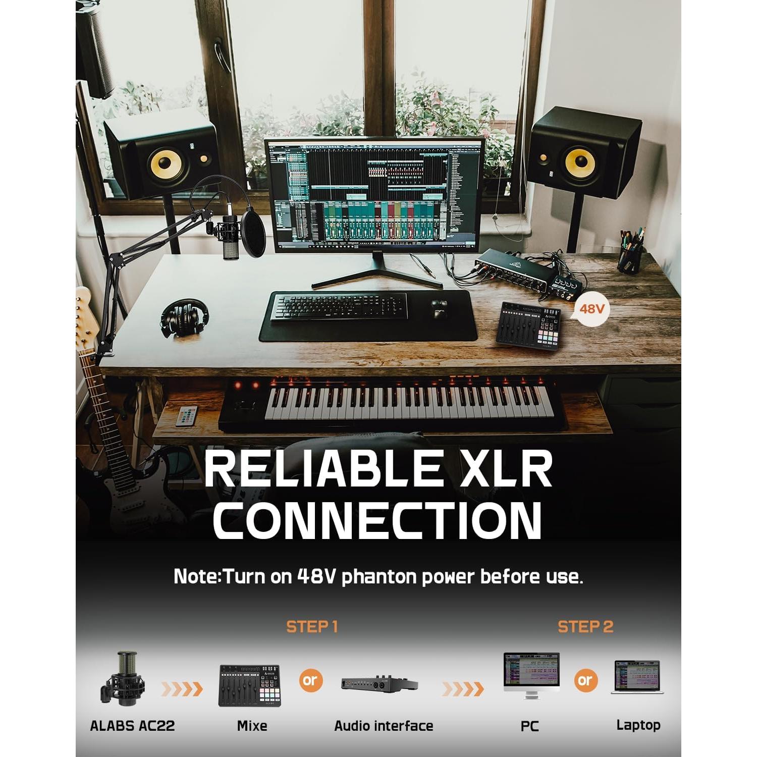 Micrófono de Condensador ALABS AC22 Cardioide Profesional