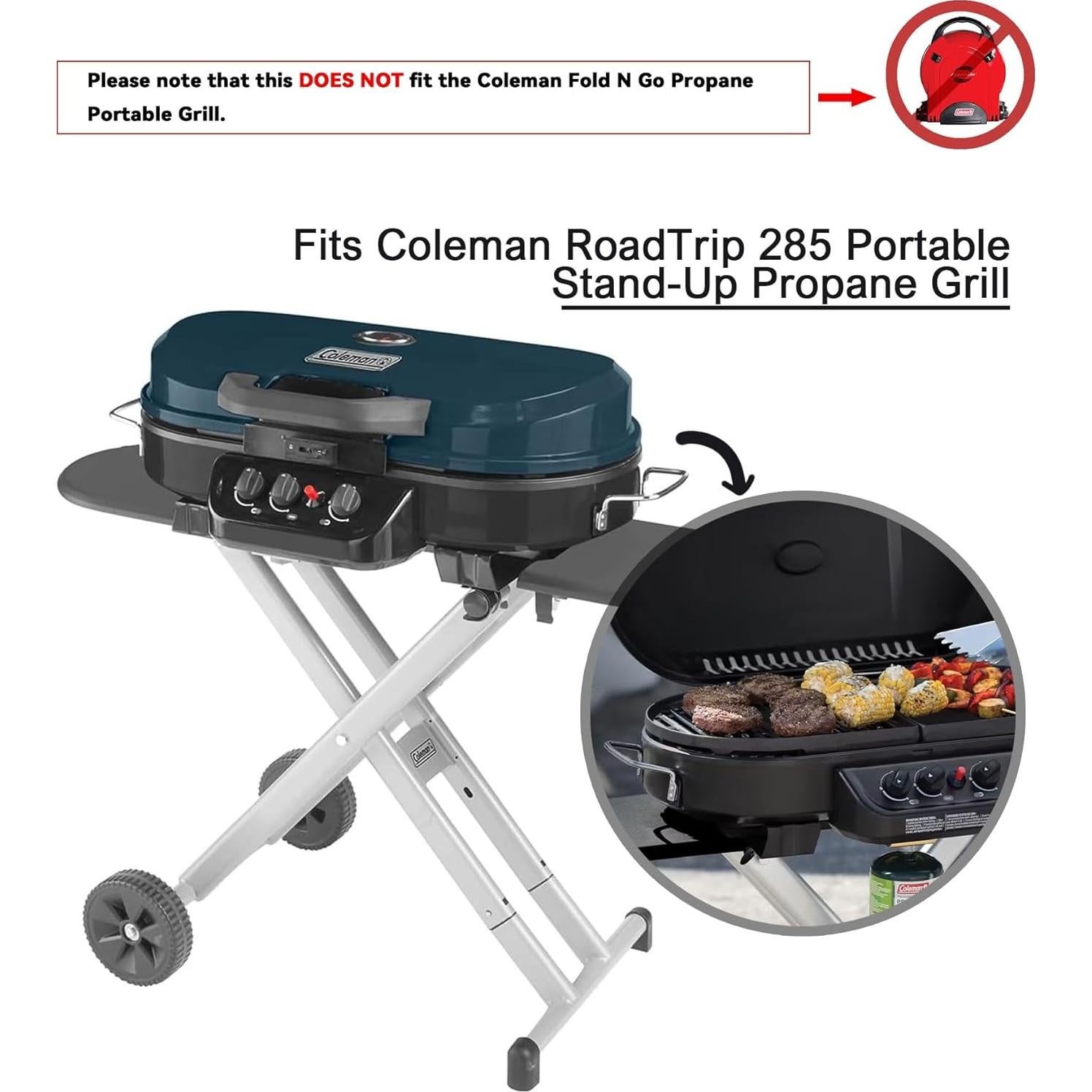 Sartén de Hierro Fundido Hongso para Parrilla Coleman Roadtrip 32.5x31.4cm