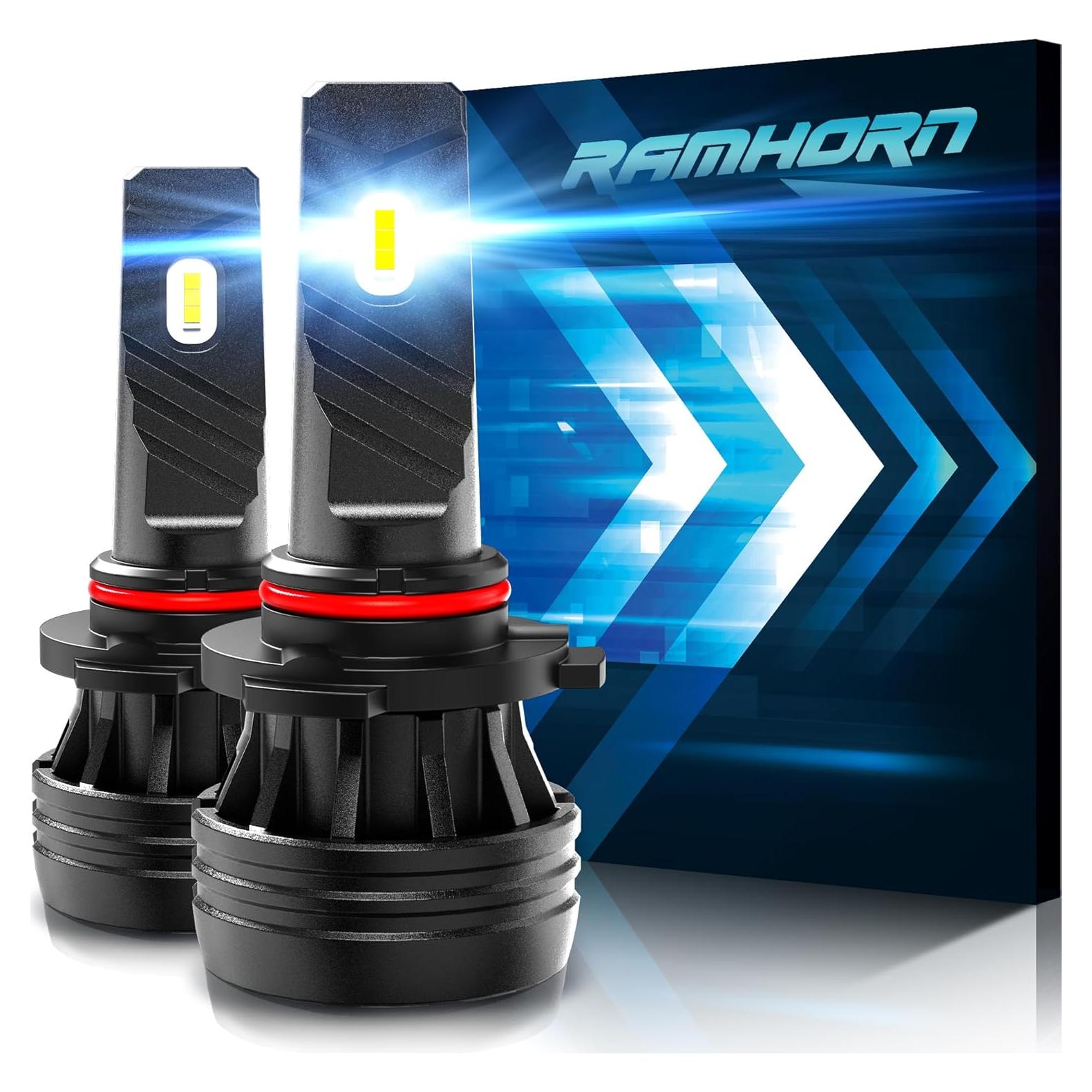 Bombillas de Niebla RAMHORN 9005 - Paquete de 2, 6500K