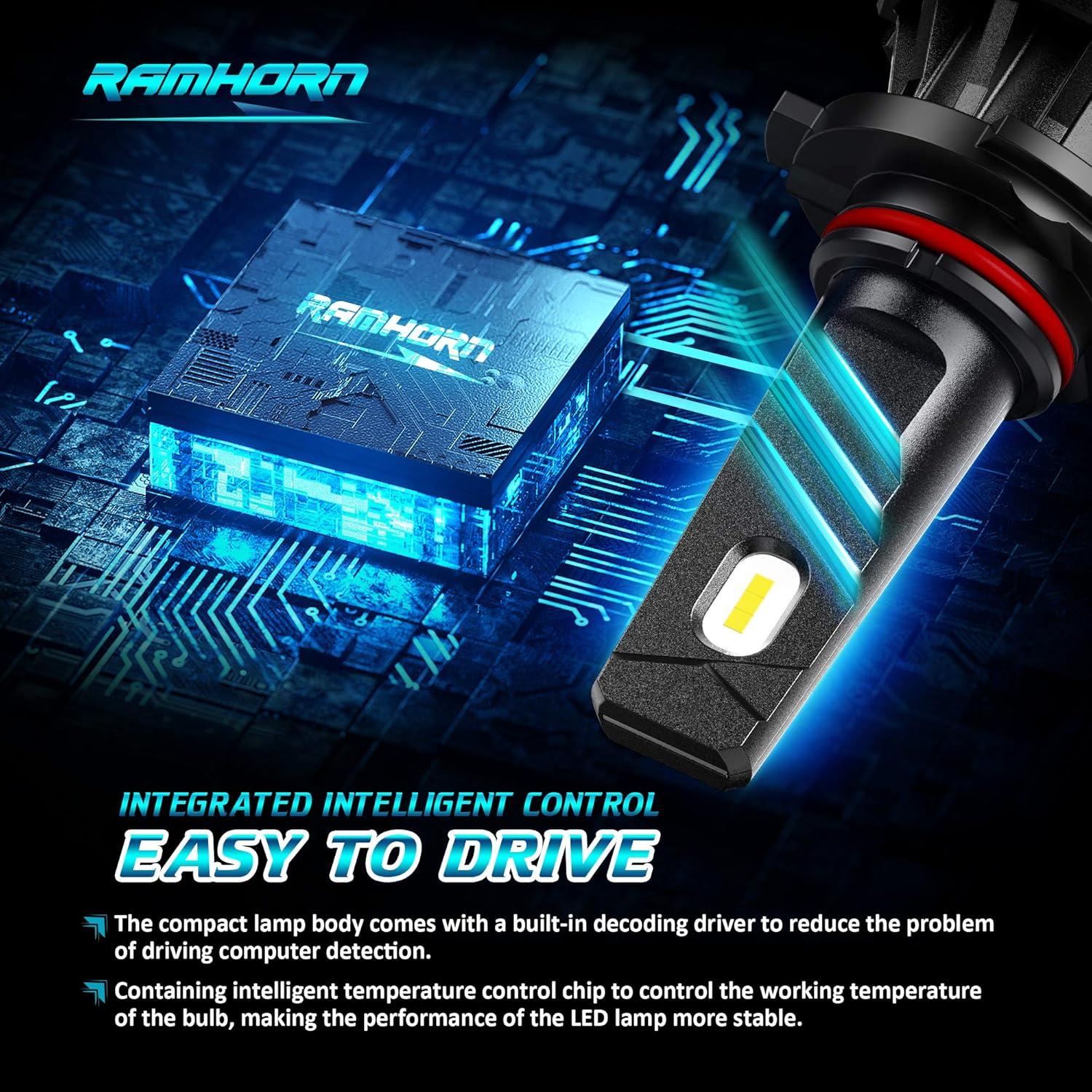Bombillas de Niebla RAMHORN 9005 - Paquete de 2, 6500K