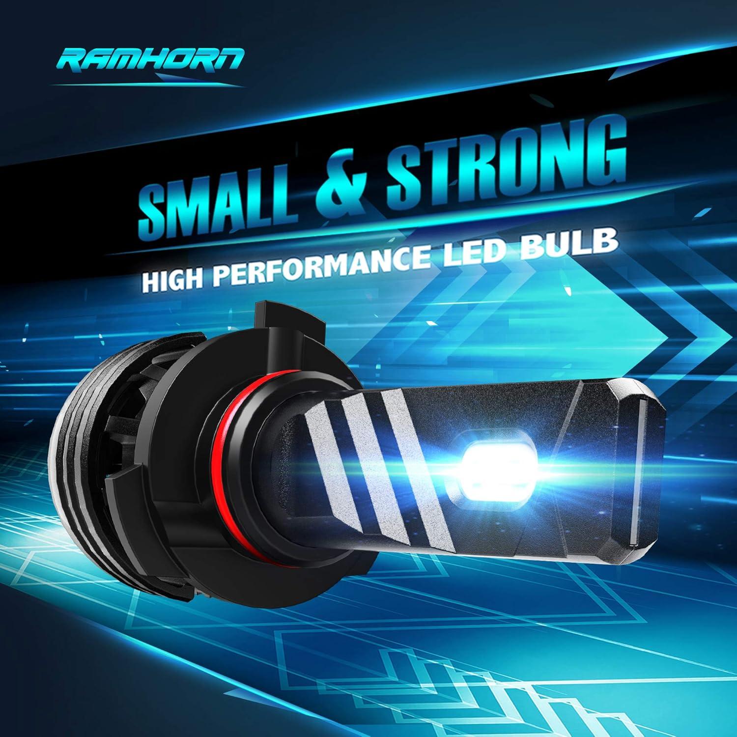 Bombillas de Niebla RAMHORN 9005 - Paquete de 2, 6500K