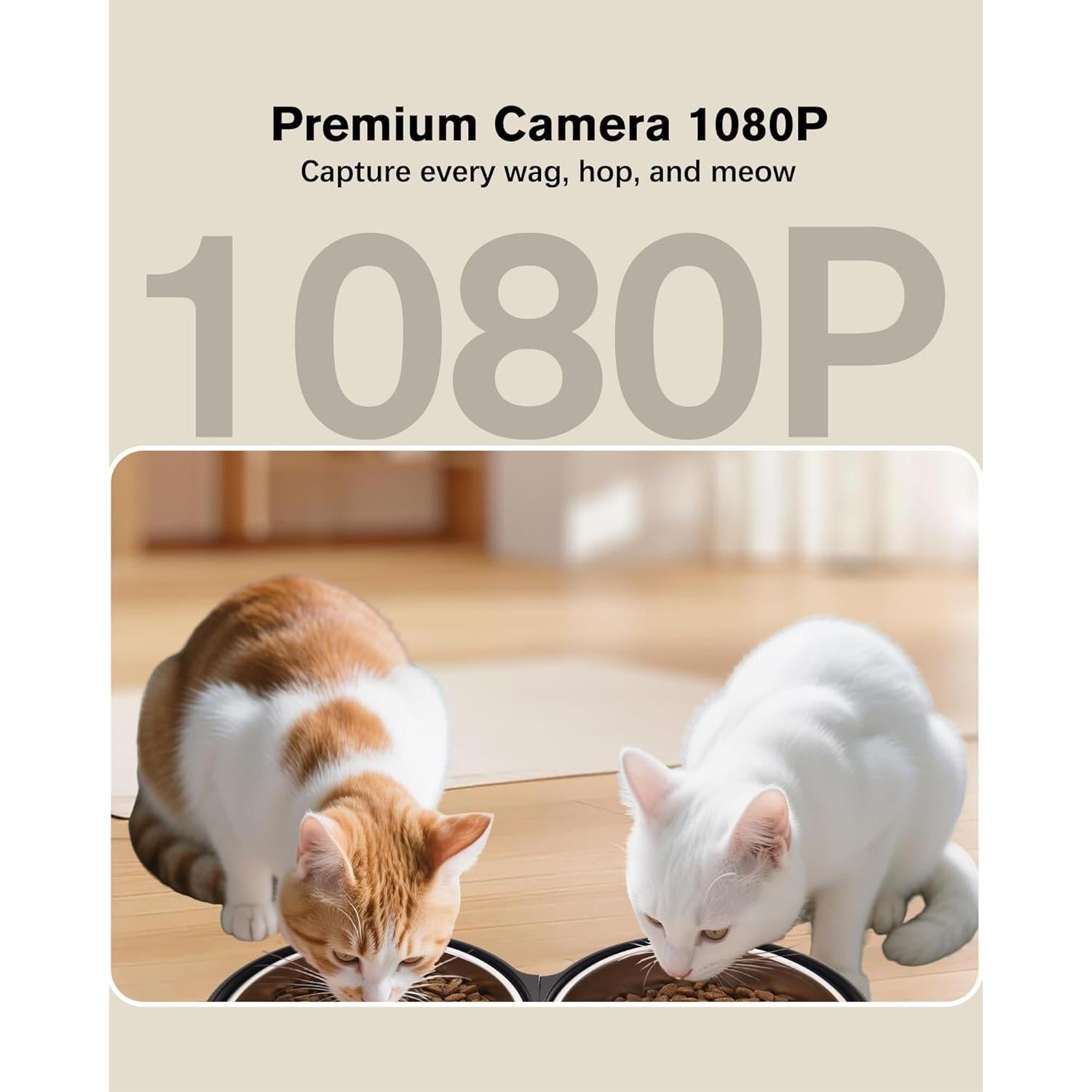 Comedero Automático para Gatos ALL Balance 5L WiFi Control Remoto