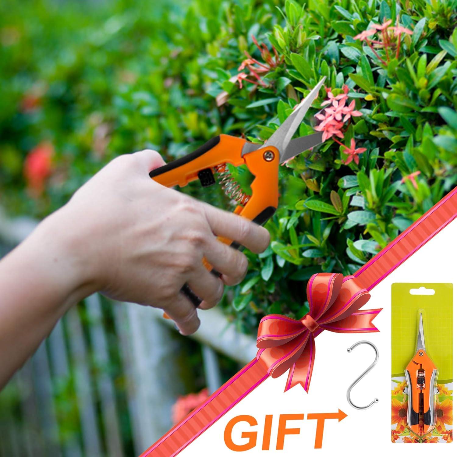 Estante Secador de Hierbas Desy & Feeci 2 Capas 60 cm Plegable