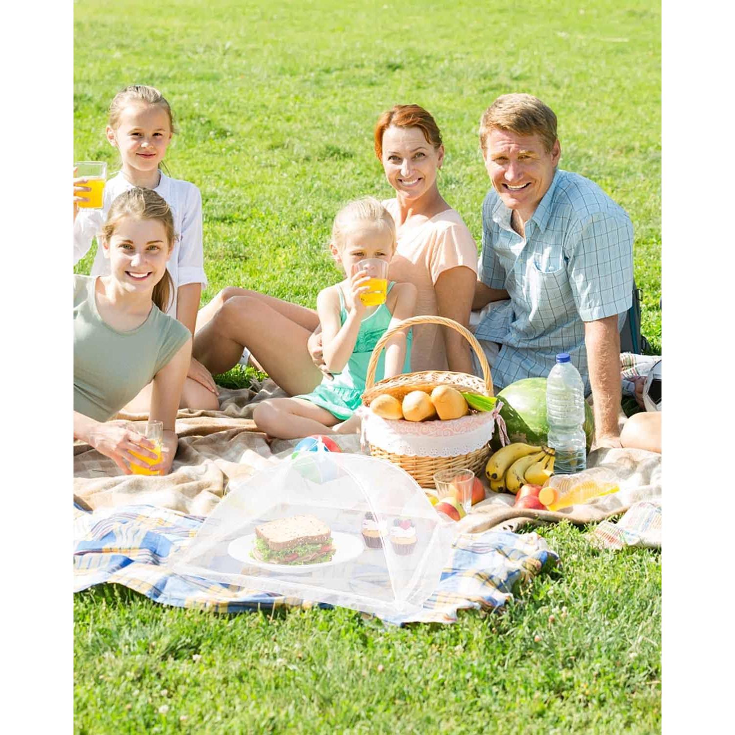 Carpa de Comida de Malla Lauon 43x43cm Antiinsectos Plegable