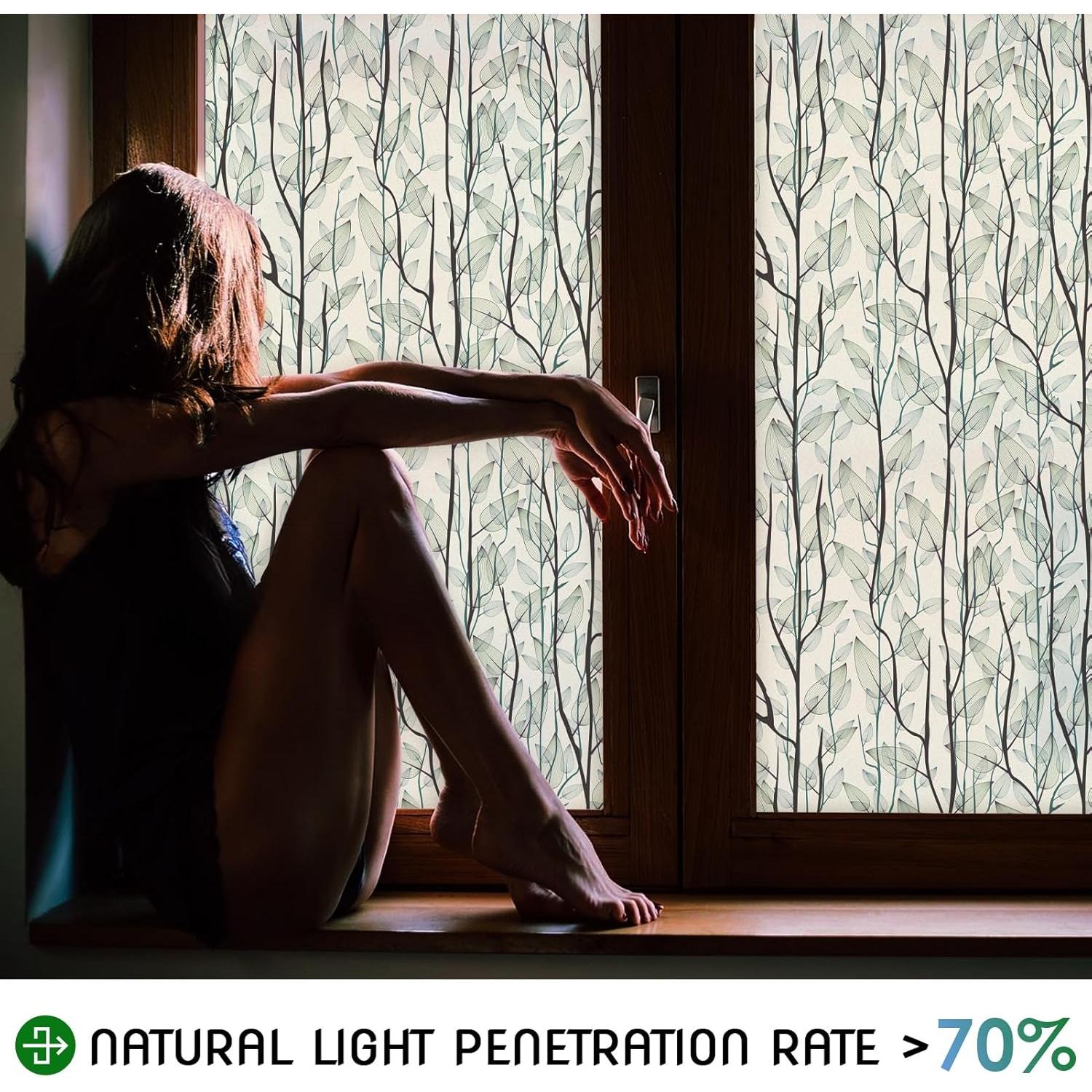 Película de Ventana DKTIE Privacidad 0.89m² Verde Oscuro