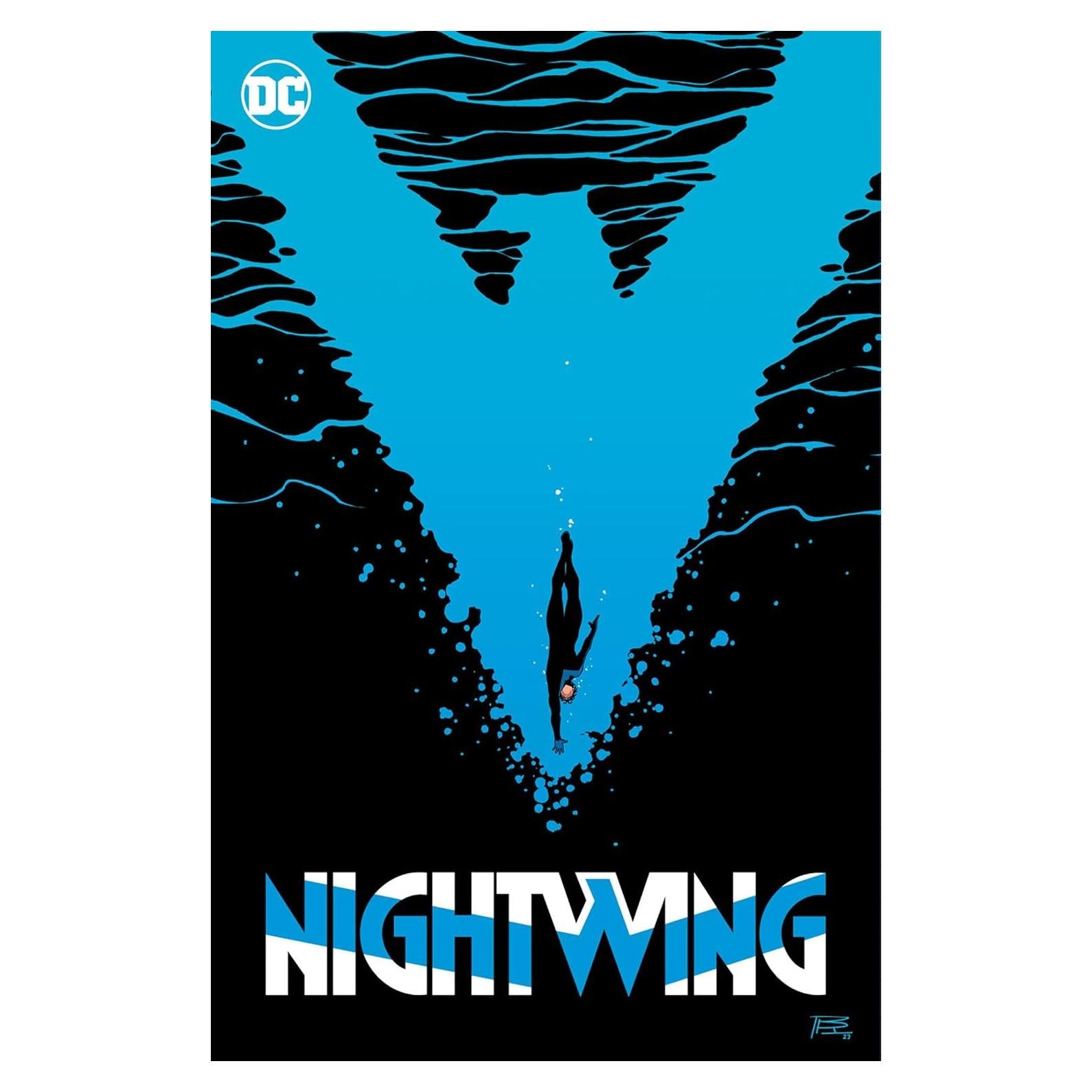 Nightwing 6: Standing at the Edge