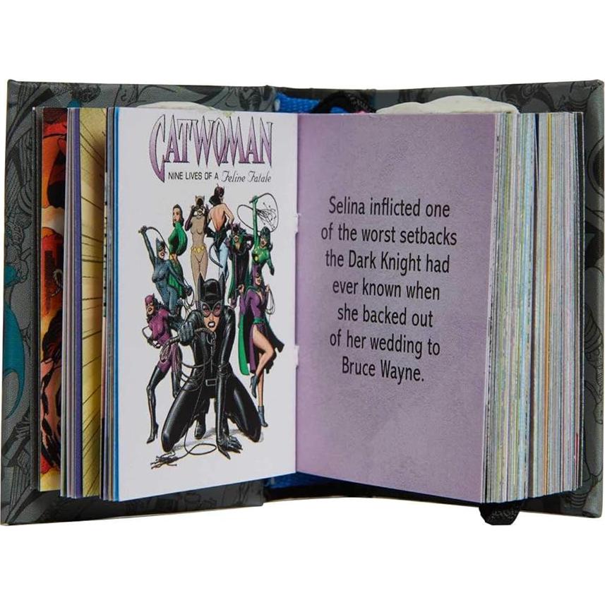 DC Comics: Villains of Gotham City (Tiny Book): Batman's Rogues Gallery