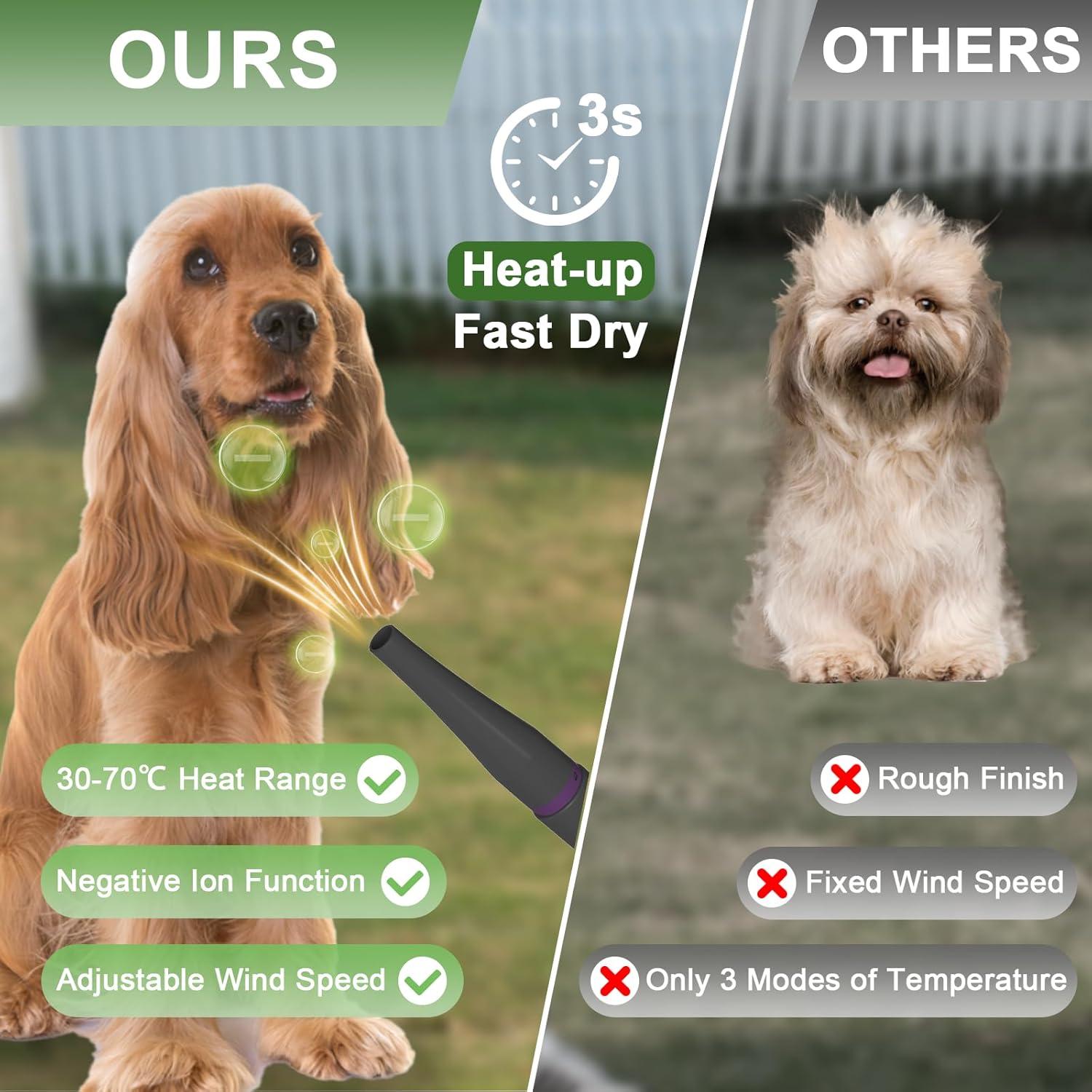 Aspiradora y Secador para Perros Catboxy 5 en 1 Púrpura