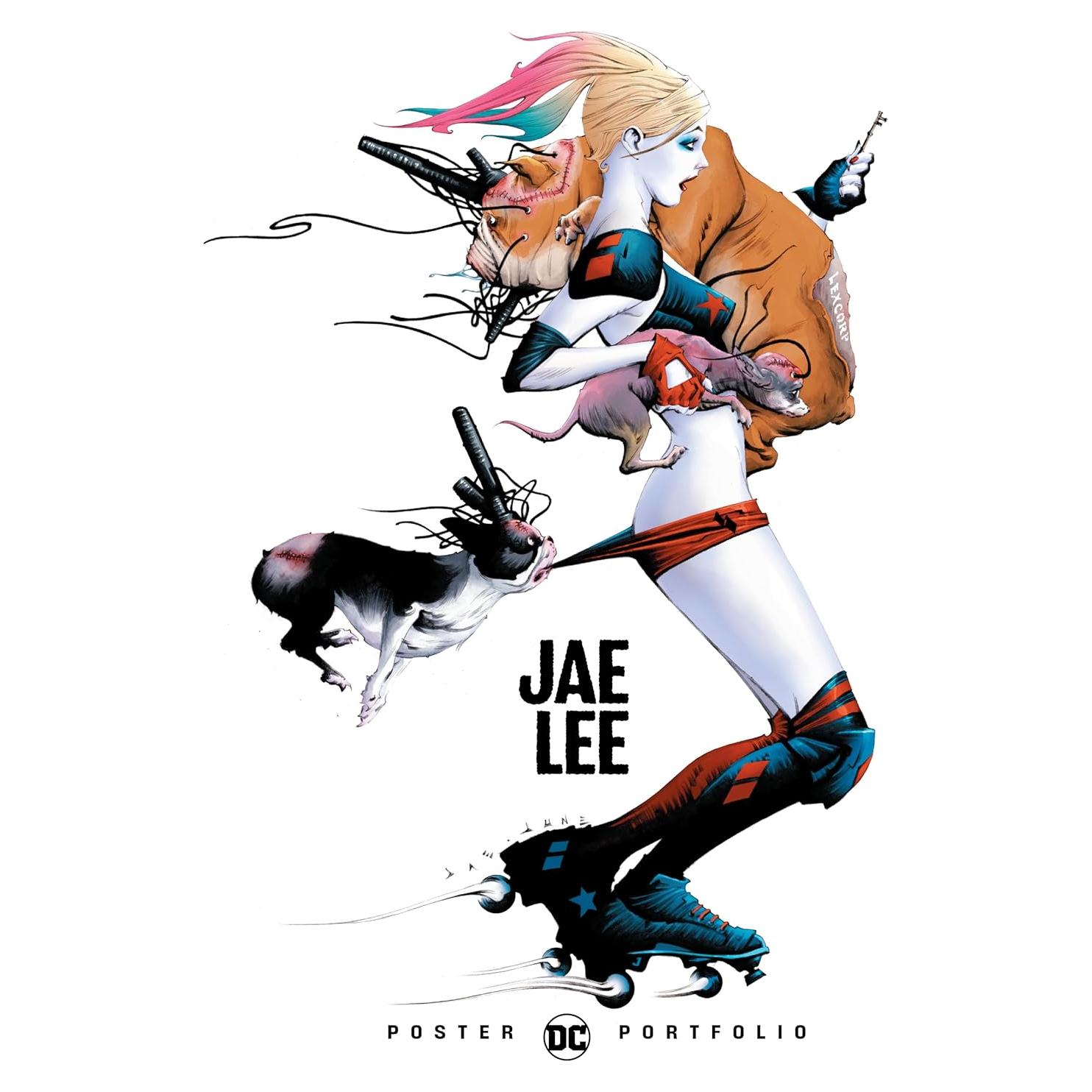 Dc Poster Portfolio Jae Lee