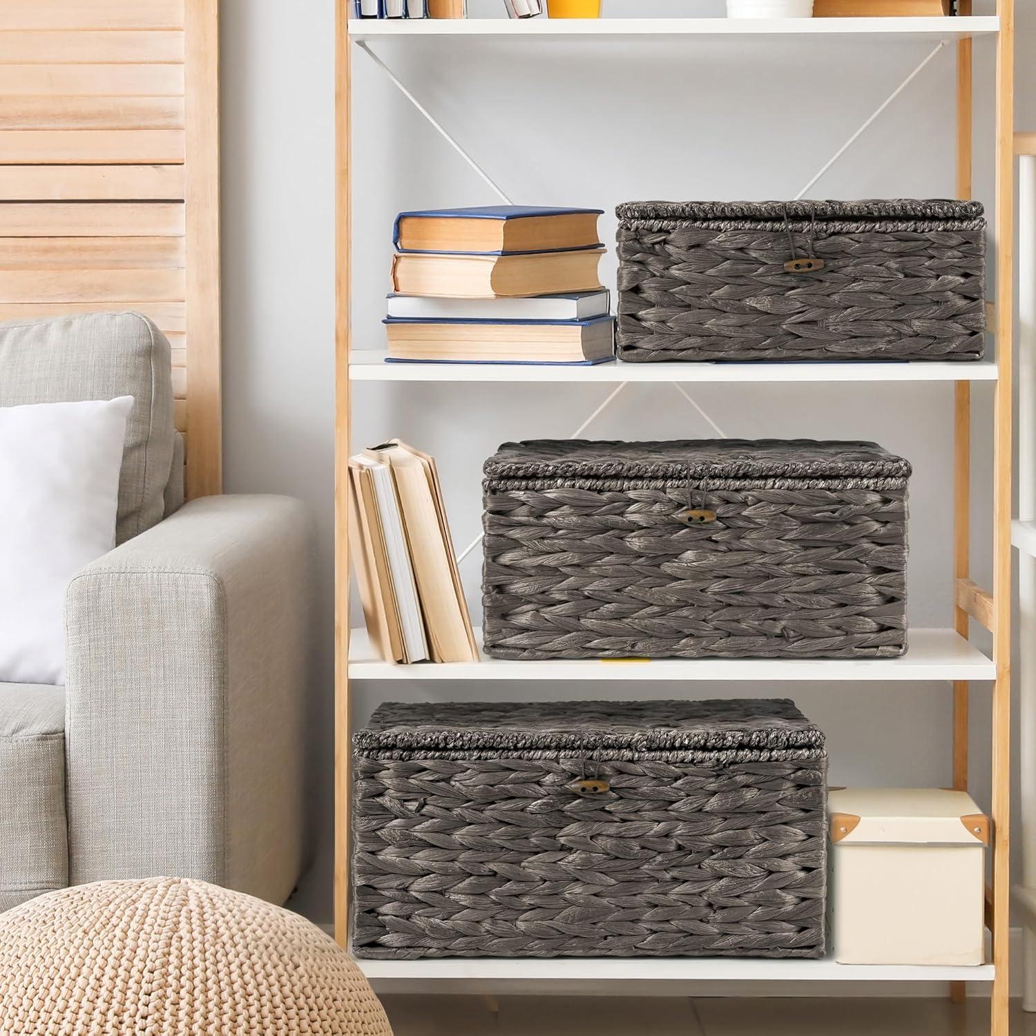 Juego de 3 Cestas de Almacenamiento Ollieroo de Jacinto de Agua