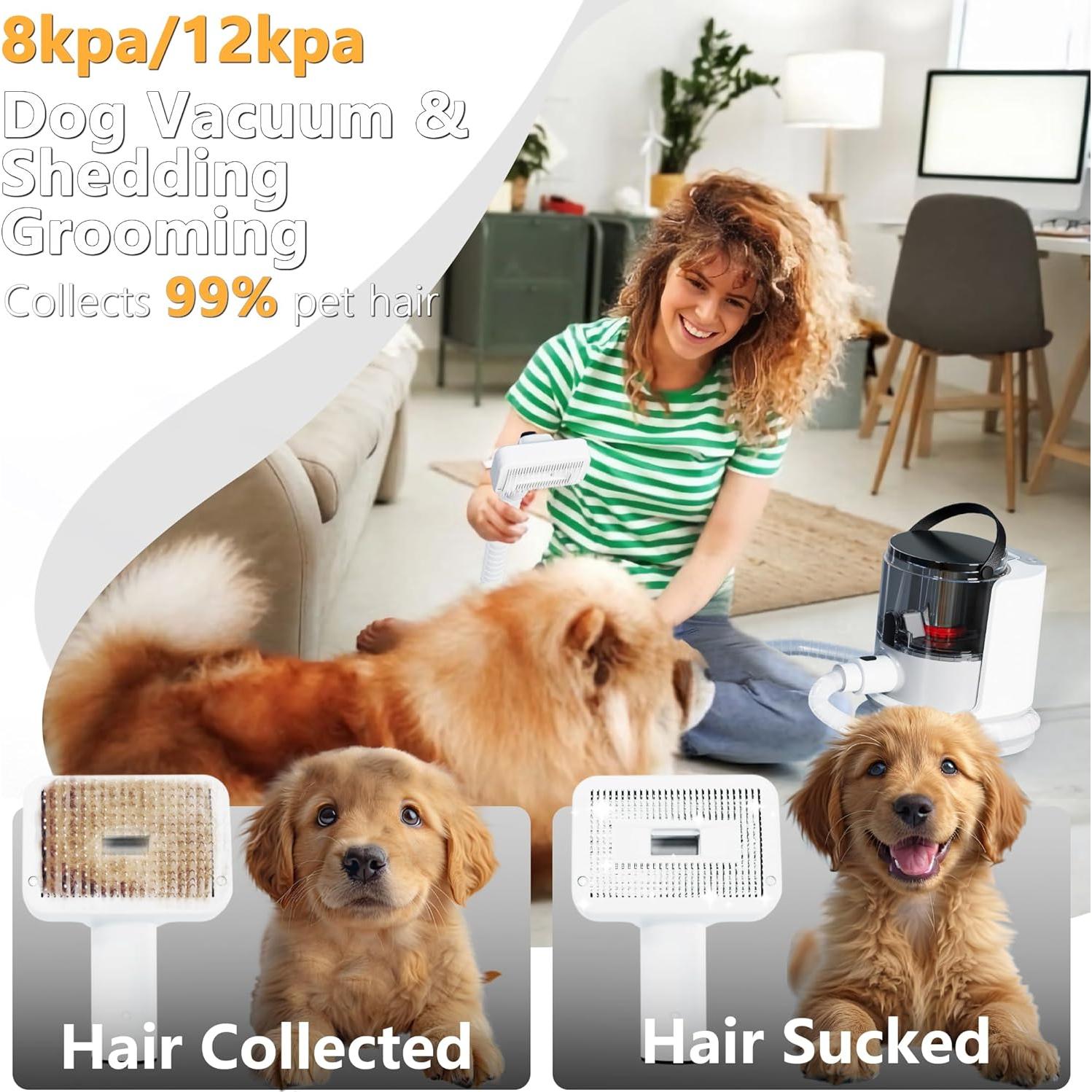 Aspiradora de Aseo para Perros FOTING 5-en-1 12000Pa