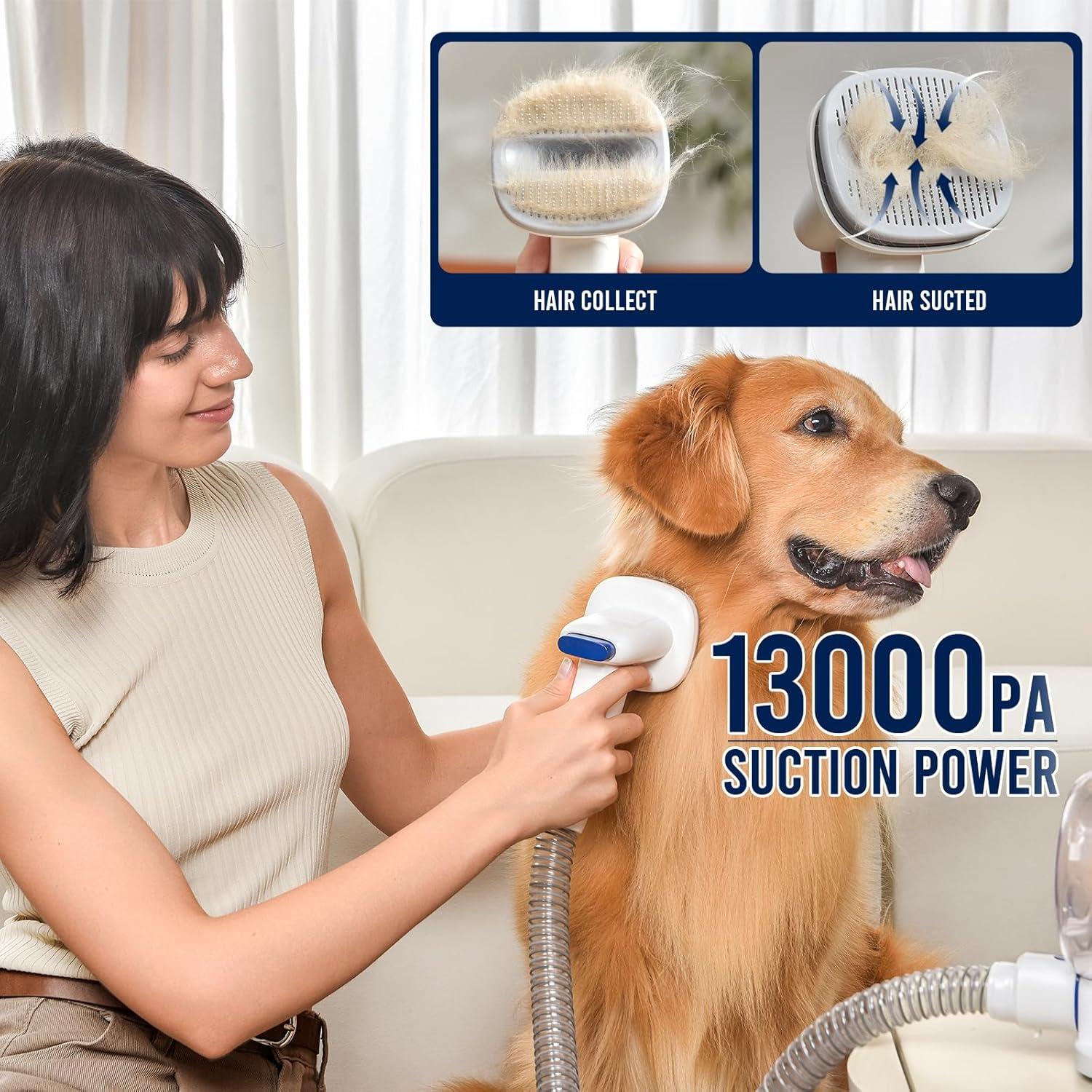 Kit de Aspiradora Acicalamiento Mascotas Geoorood G3-B 5 en 1