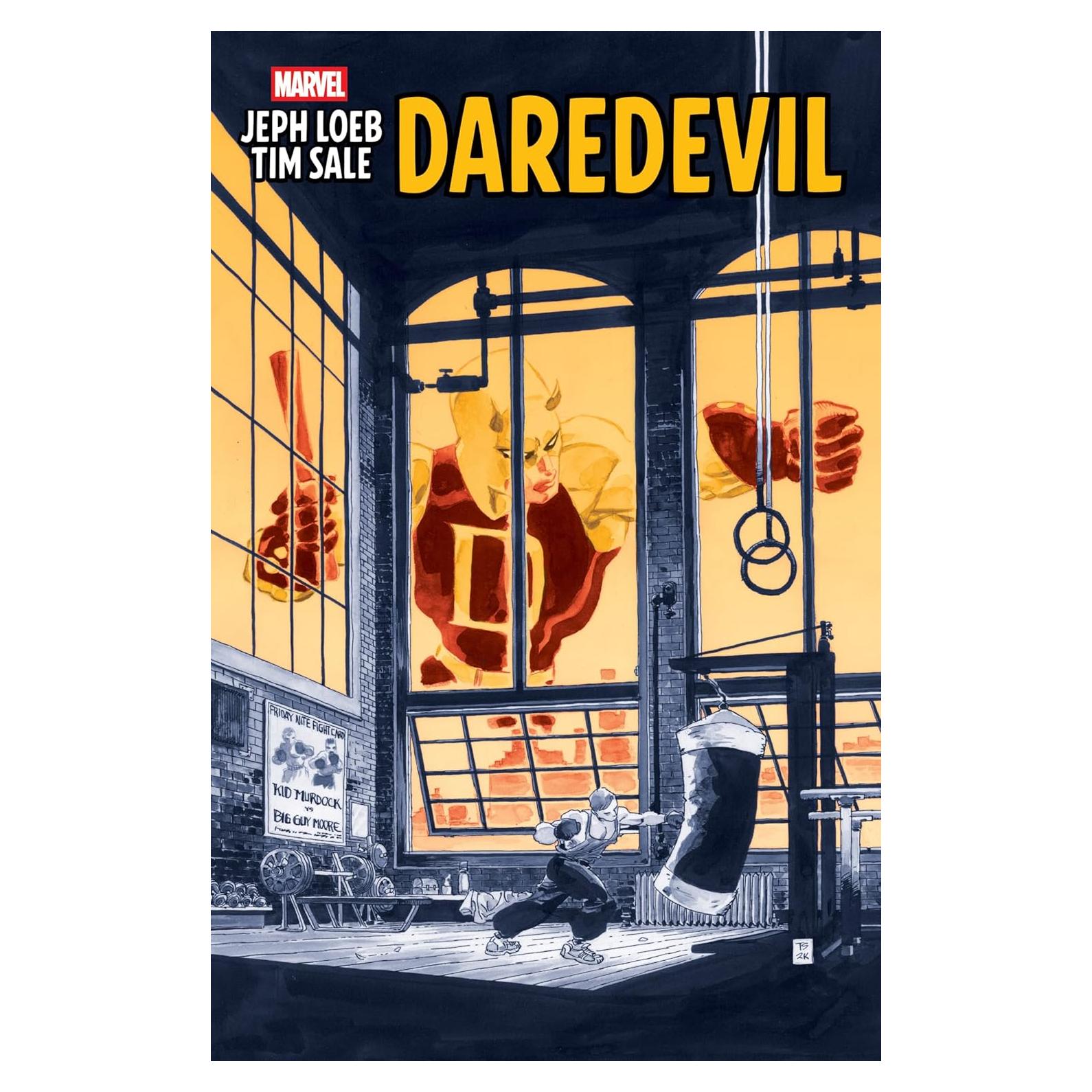 Jeph Loeb & Tim Sale: Daredevil