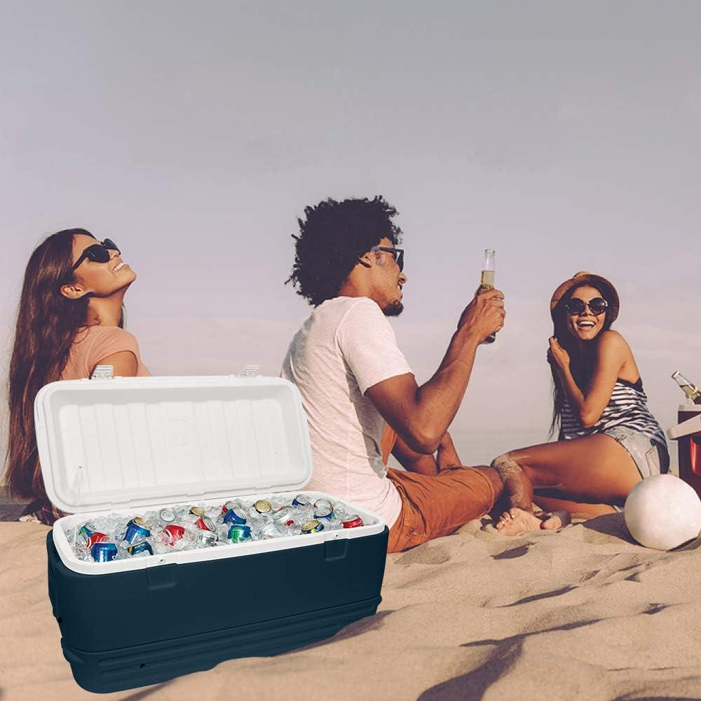 Bisagras de Acero Inoxidable Picowe para Neveras Igloo - 3 Pack