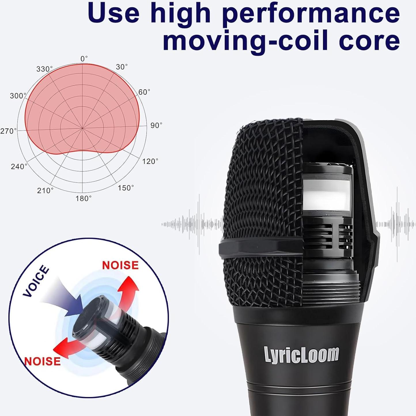 Micrófono dinámico profesional LyricLoom DM-12set con cable XLR 5m