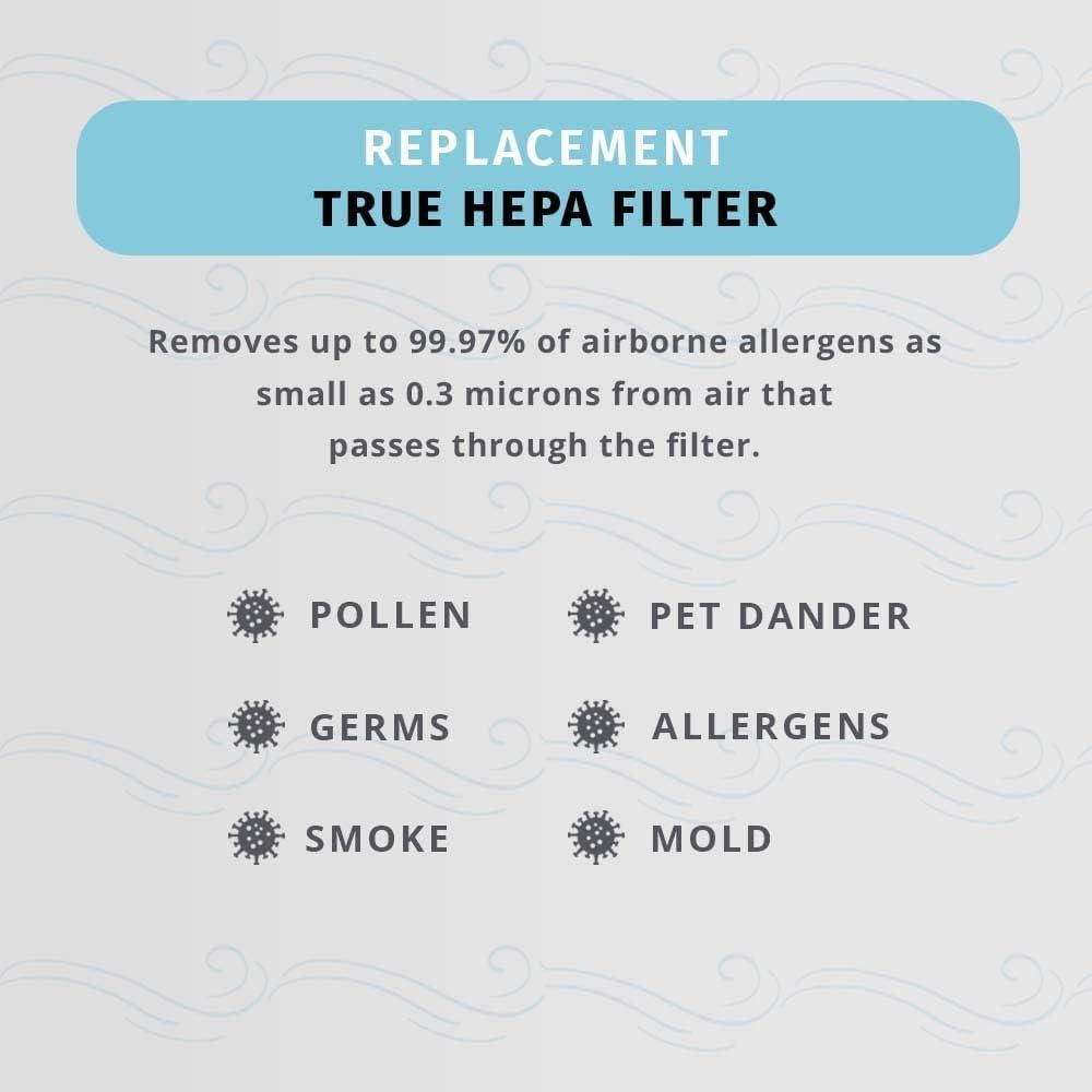 Filtros de Reemplazo HEPA-Tipo Homedics TotalClean - 2 Unidades