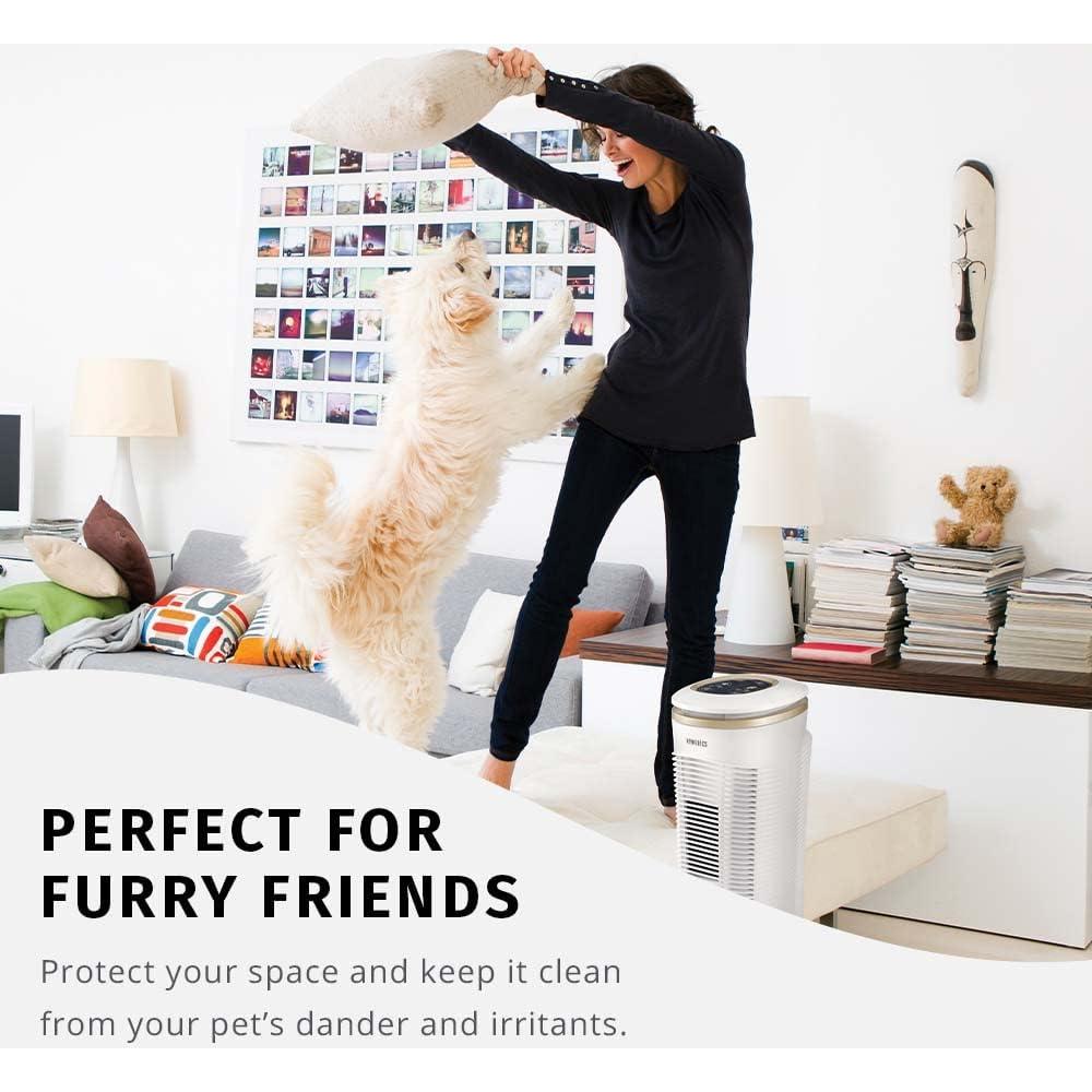 Filtros de Reemplazo HEPA-Tipo Homedics TotalClean - 2 Unidades