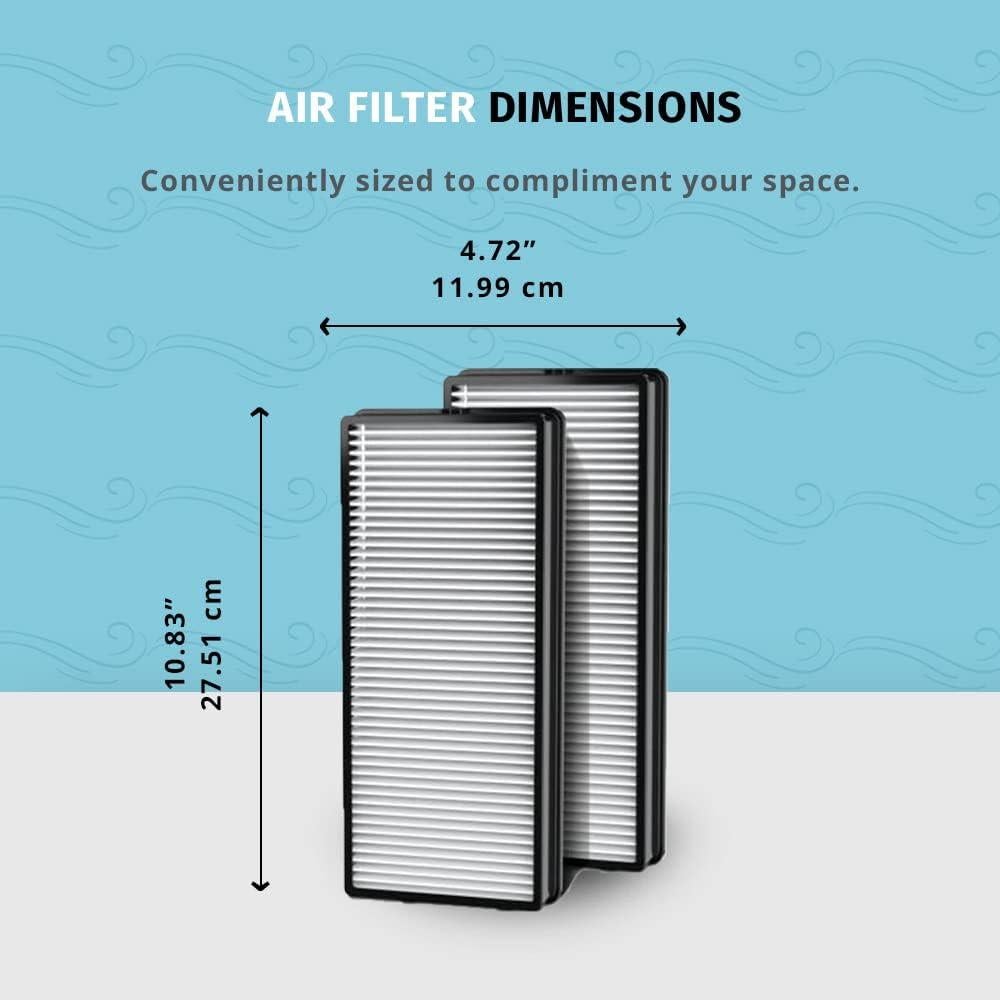 Filtros de Reemplazo HEPA-Tipo Homedics TotalClean - 2 Unidades