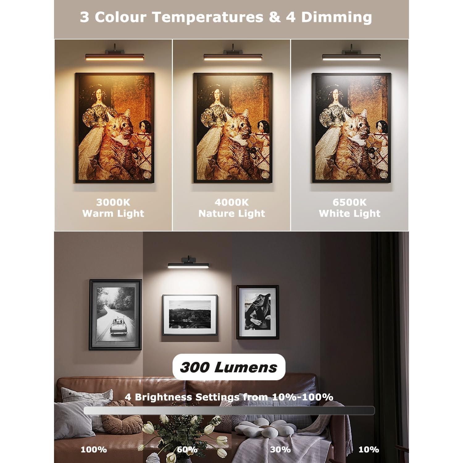 Luz de Imagen Inalámbrica LED con Control Remoto 5000mAh