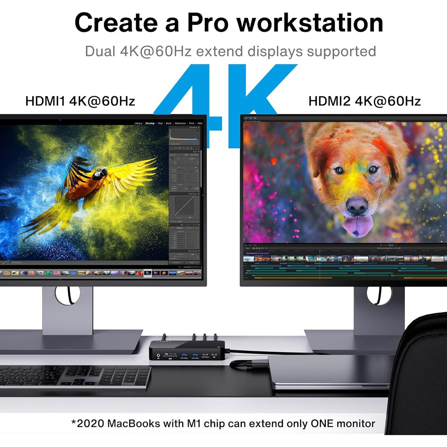 iVANKY FusionDock 1+ Estación Acoplamiento 12 en 1 4K 60Hz