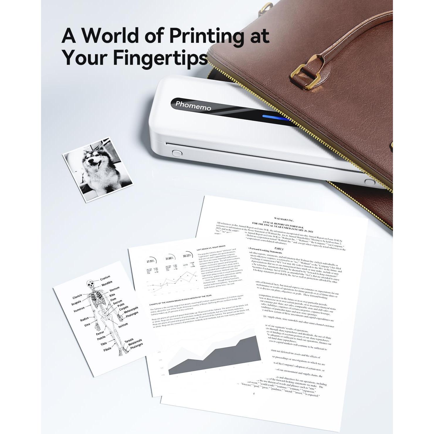 Impresora Térmica Portátil Phomemo M832 Inalámbrica 0.70 kg