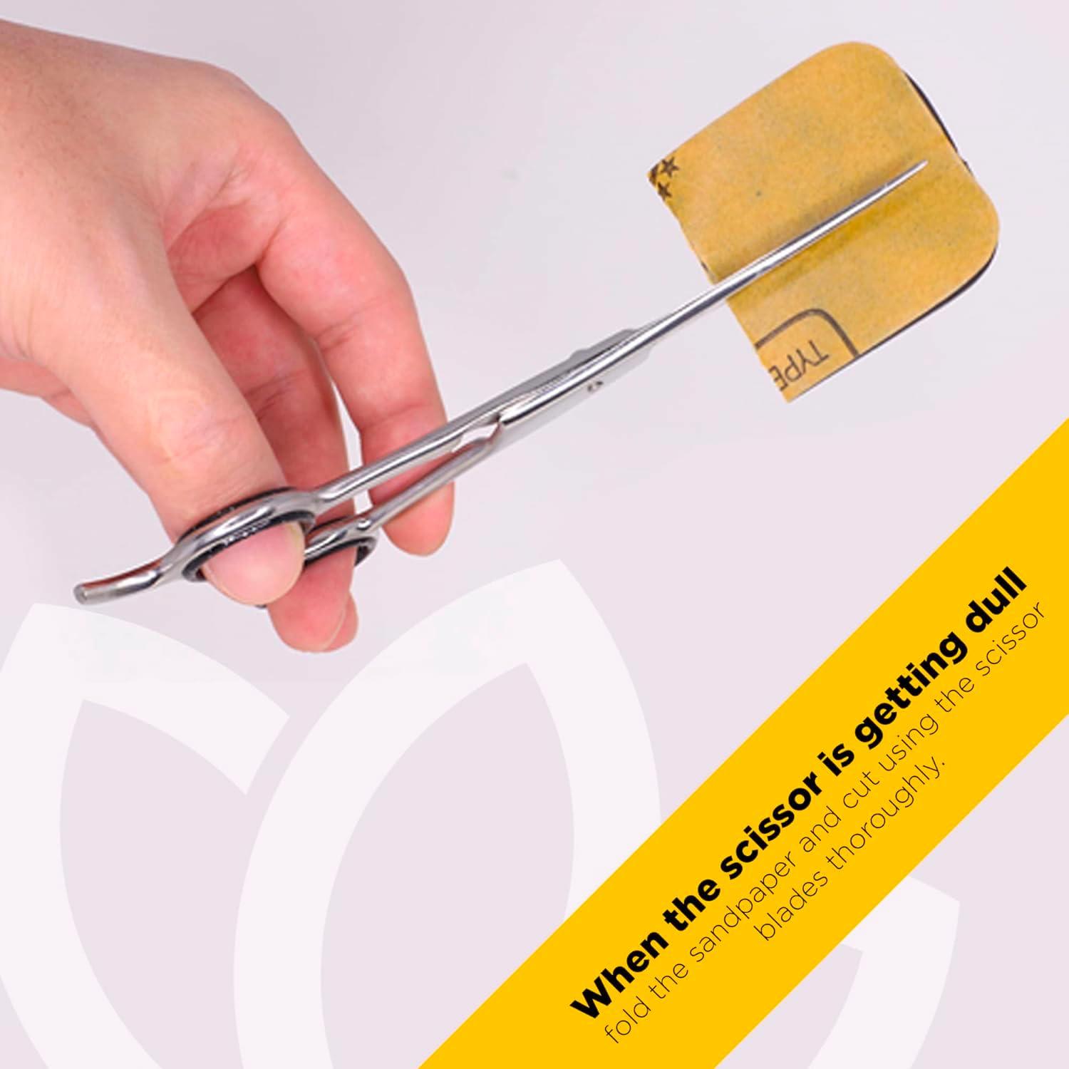 Juego de Tijeras de Corte de Cabello Equinox 6.5" Profesional