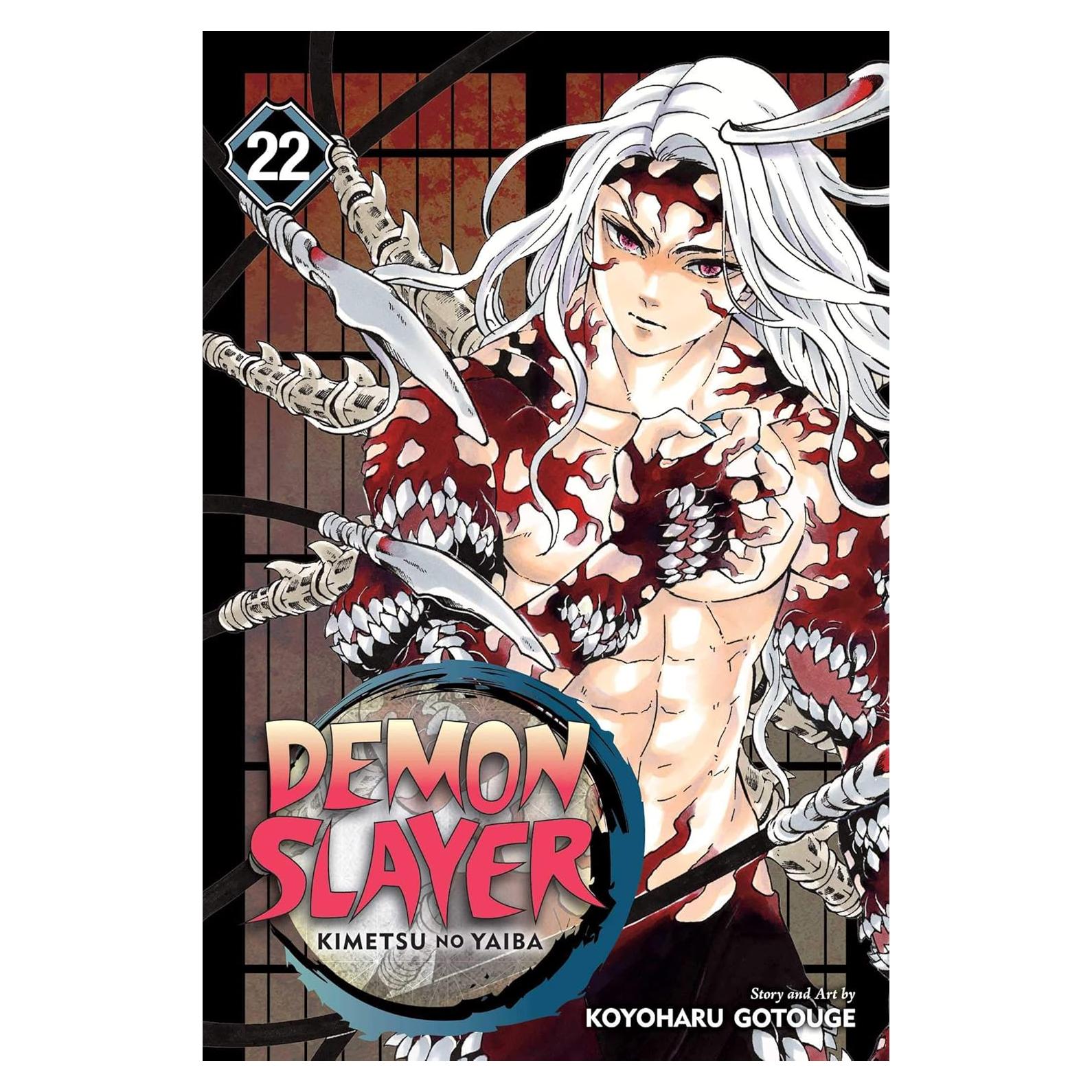Demon Slayer: Kimetsu no Yaiba, Vol. 22