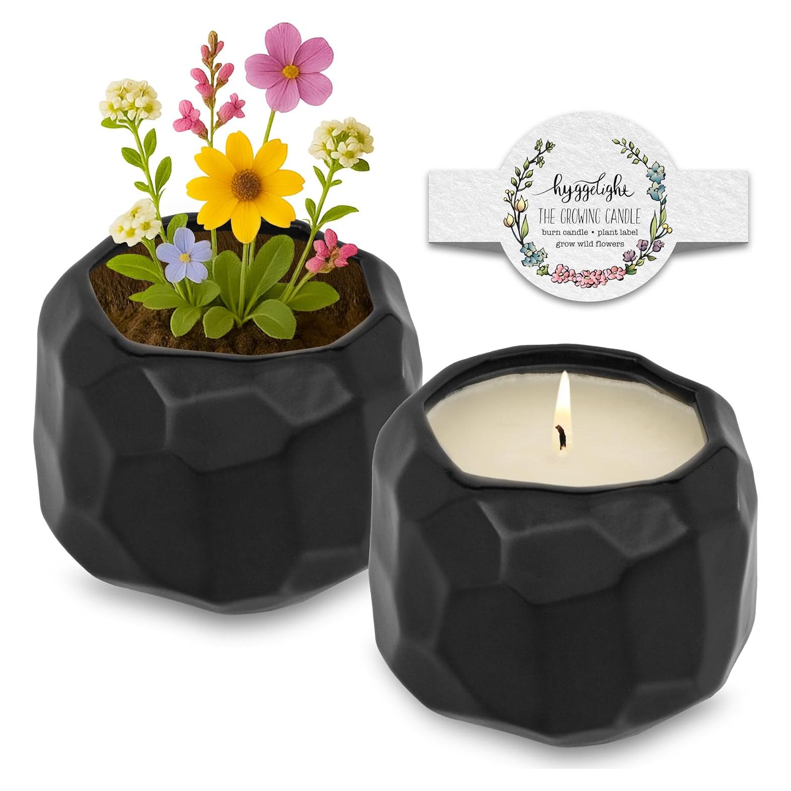 Vela Aromática de Soja Hyggelight Emma 390ml Menta y Eucalipto