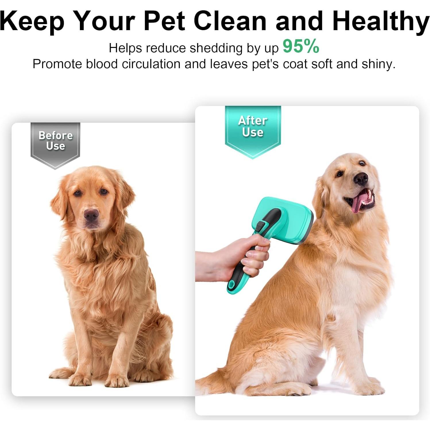 Cepillo Autolimpiante para Mascotas Aliba Plus Verde Aqua