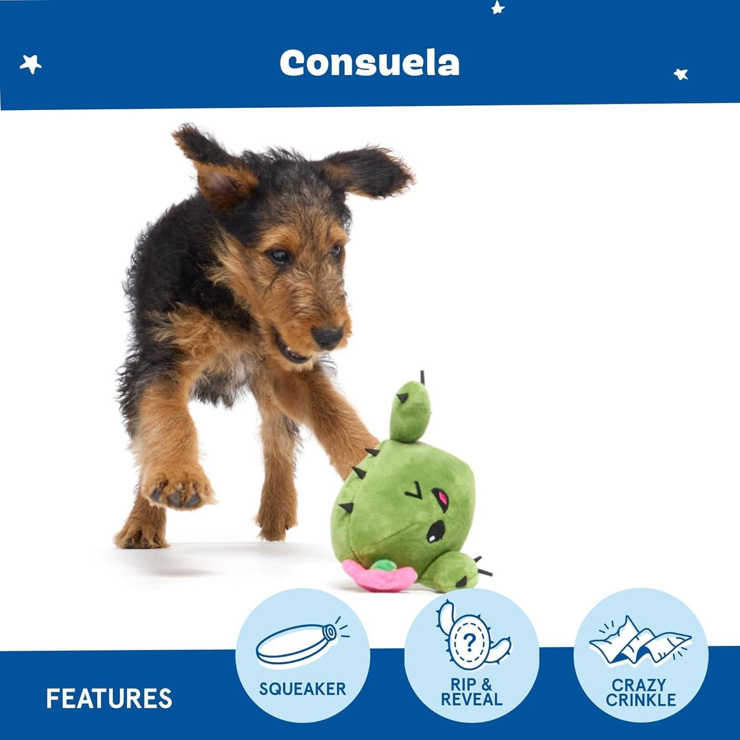 Juguete Interactivo para Perros Barkbox Consuela Cactus Pequeño