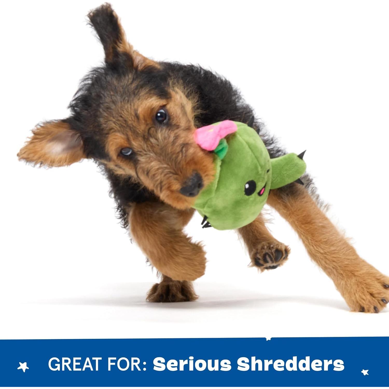 Juguete Interactivo para Perros Barkbox Consuela Cactus Pequeño