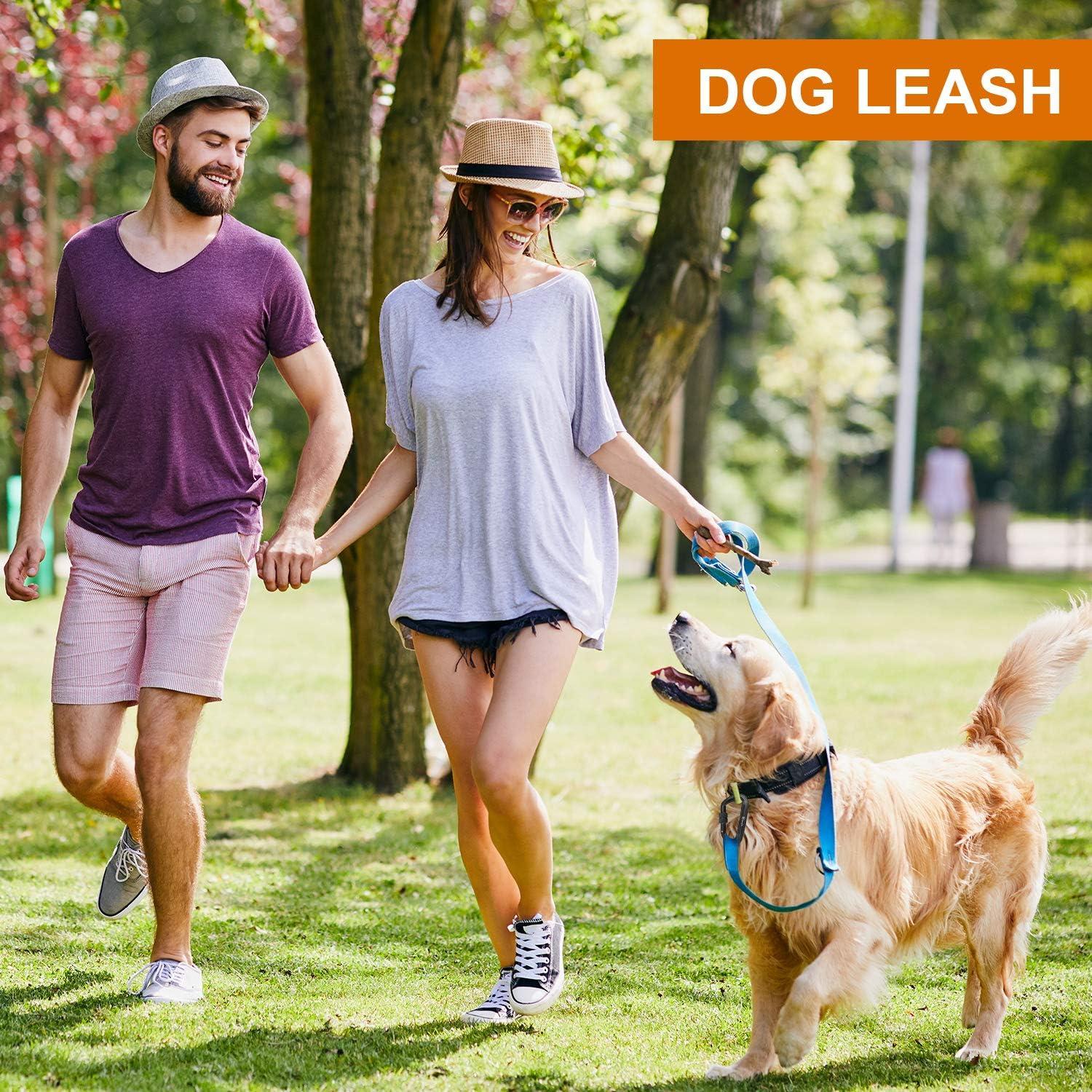 Clips de Carabineros de Cierre Pesado Favofit 12KN - 4 Piezas