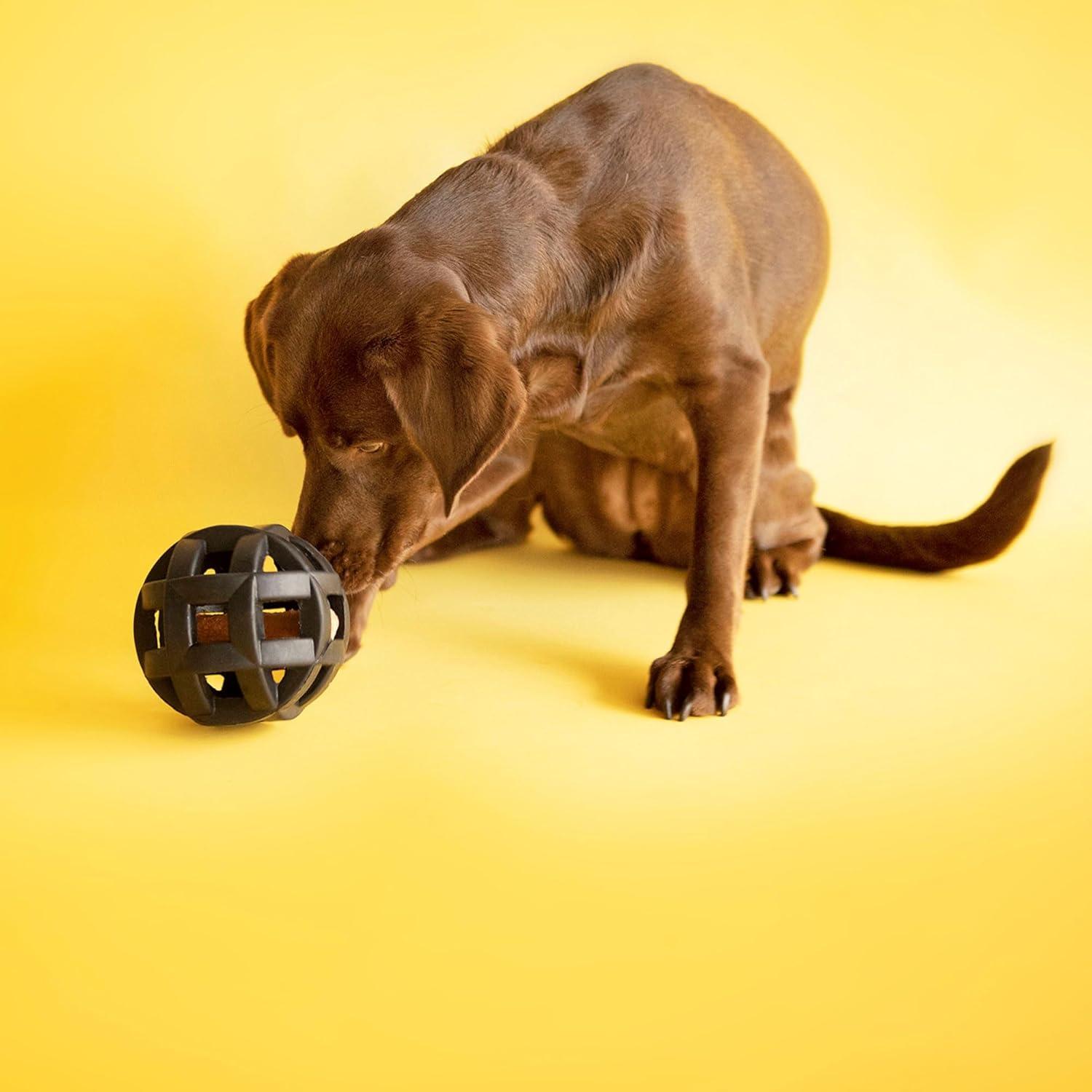 Pelota Puzzle para Perros JW Pet Hol-ee Roller Mediana 11.4 cm