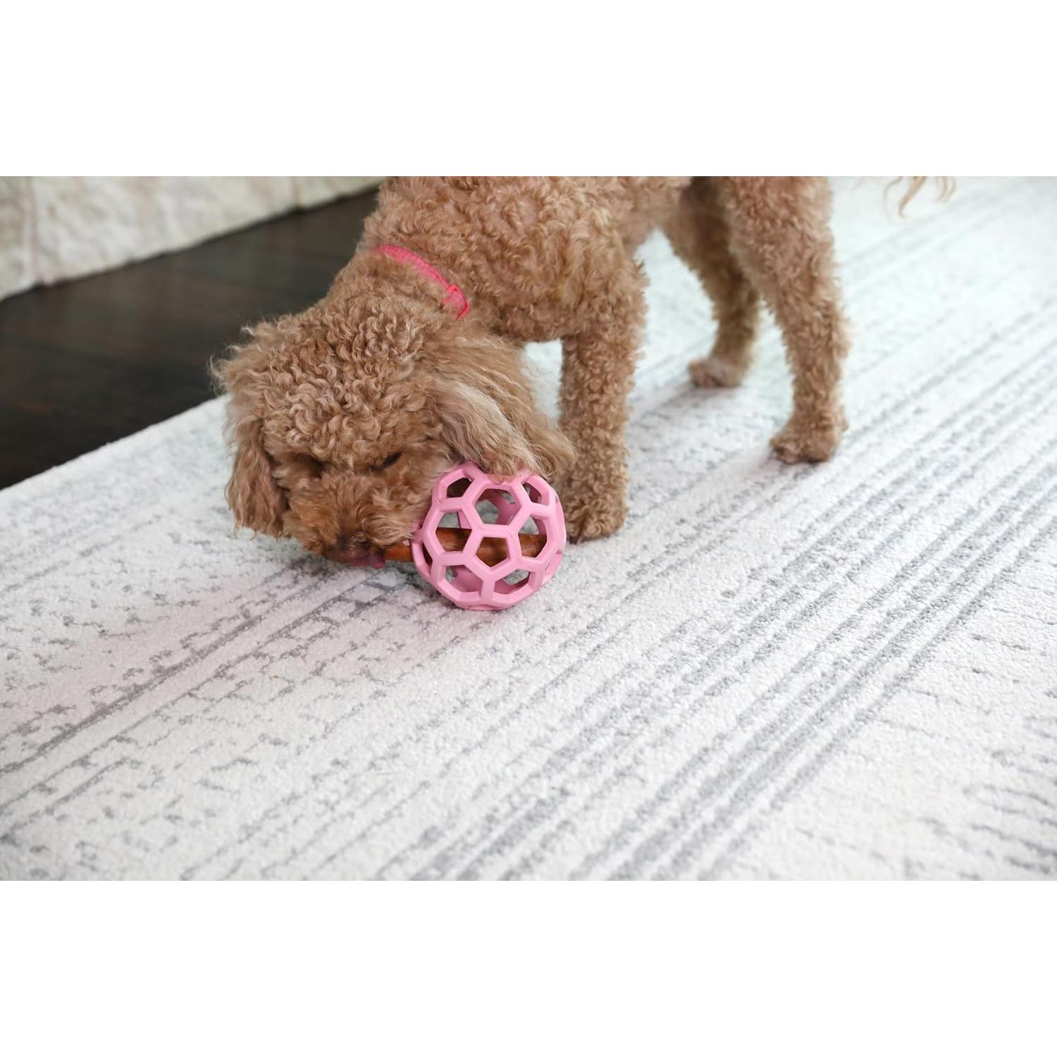 JW Pet Hol-ee Roller Juguete para Perros Mediano Rosa