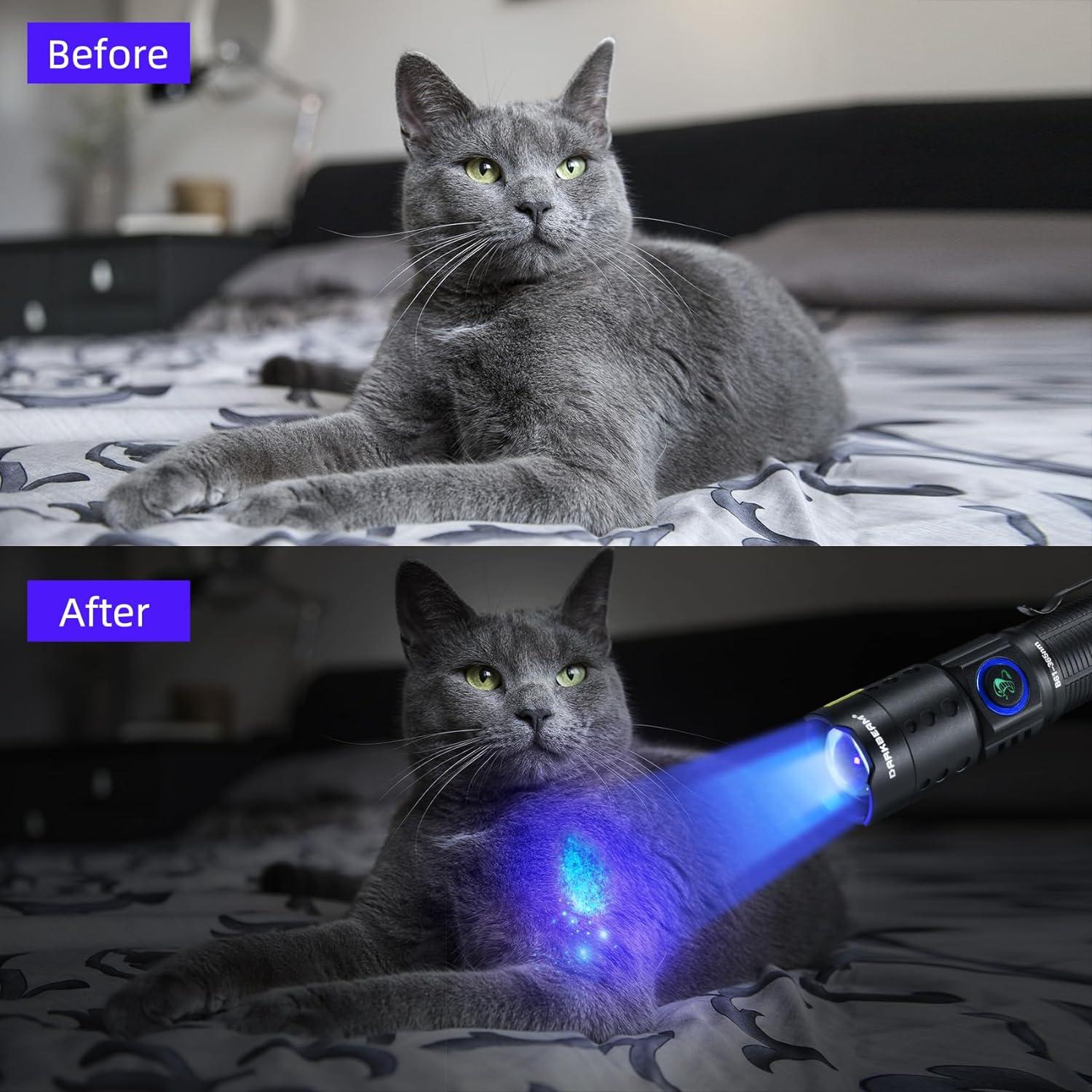 Linterna UV 365nm DARKBEAM Recargable USB-C Resistente al Agua