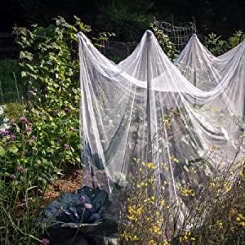 Red de Mosquitos emopaw Grande 210x200x180cm Malla Blanca