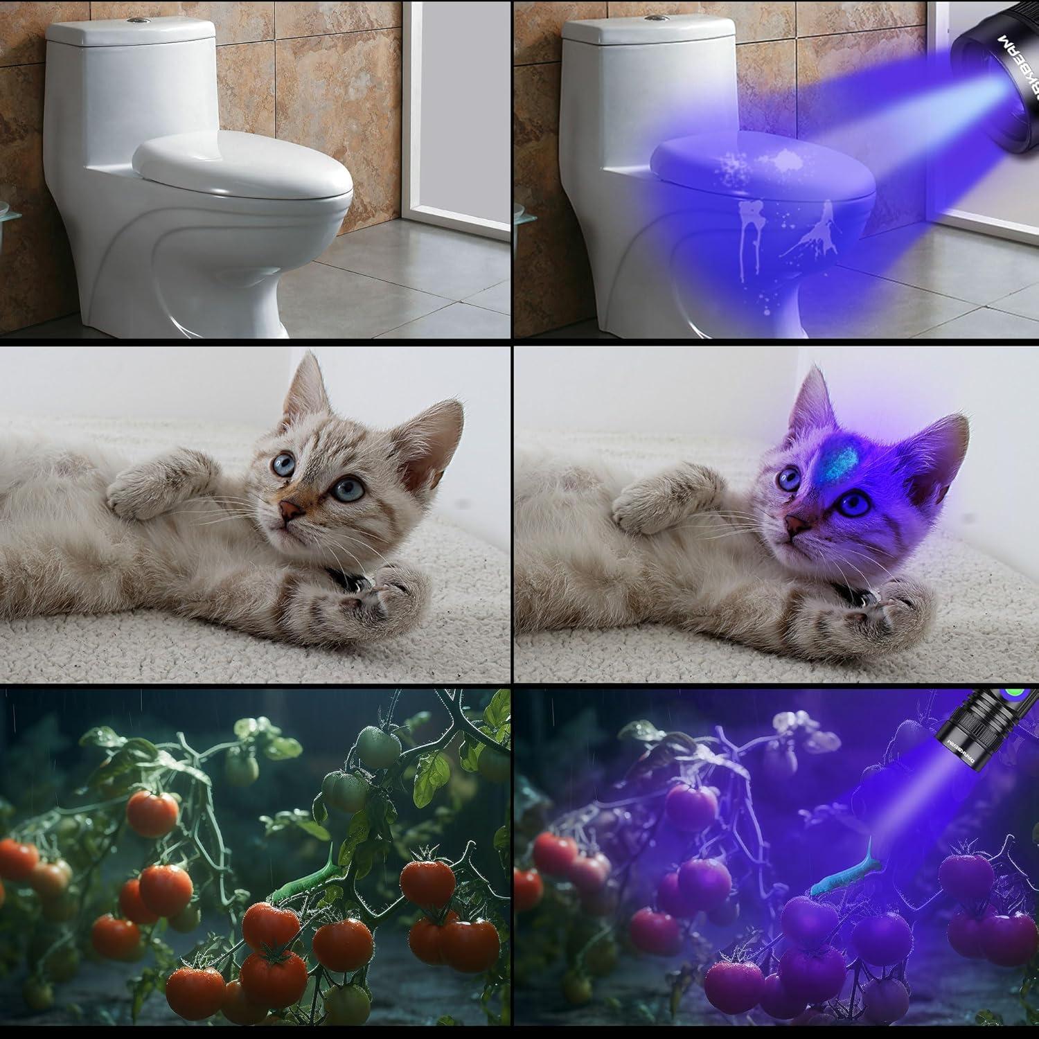 Linterna UV Recargable DARKBEAM A300 365nm Mini Portátil